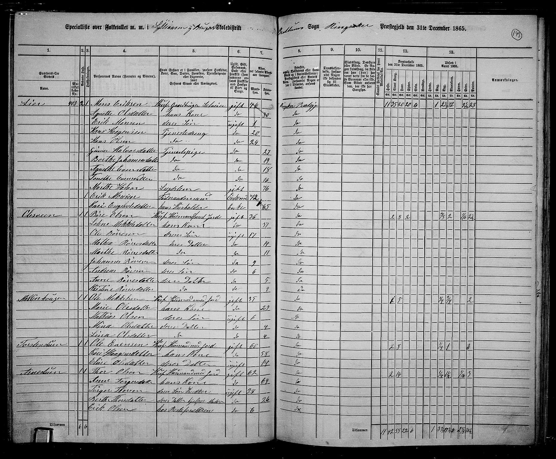 RA, 1865 census for Ringsaker, 1865, p. 386
