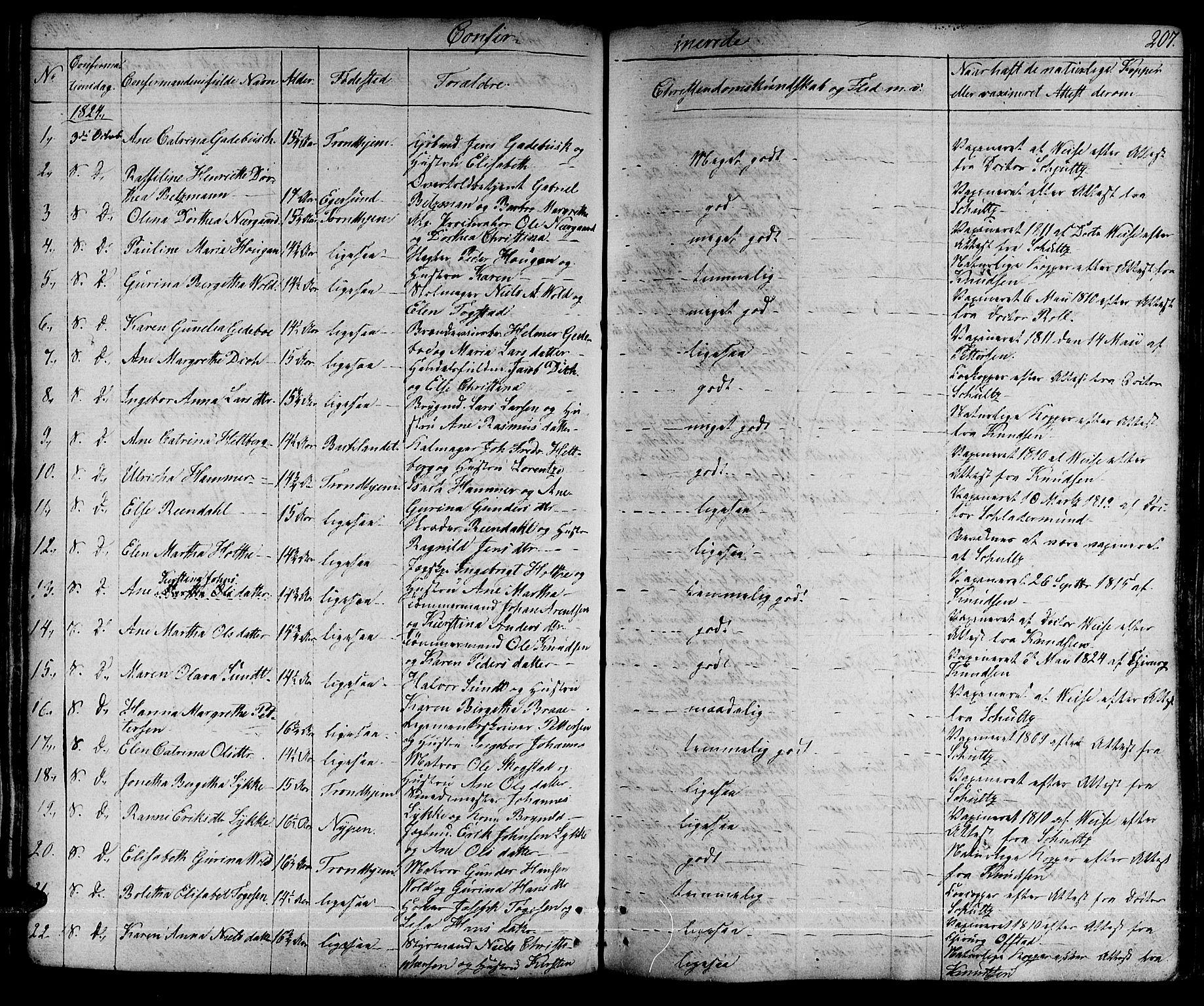 Ministerialprotokoller, klokkerbøker og fødselsregistre - Sør-Trøndelag, SAT/A-1456/601/L0045: Parish register (official) no. 601A13, 1821-1831, p. 207