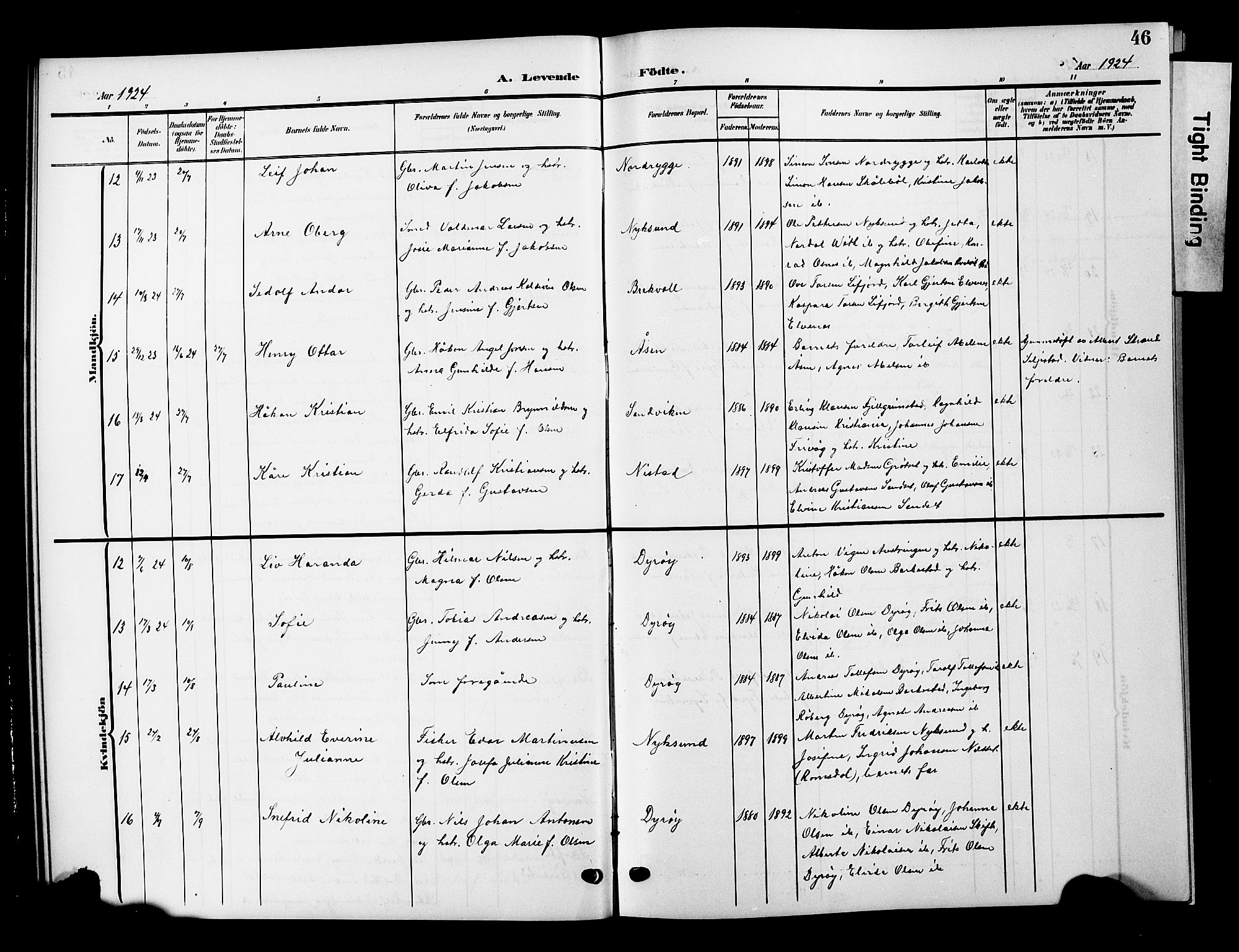 Ministerialprotokoller, klokkerbøker og fødselsregistre - Nordland, AV/SAT-A-1459/893/L1350: Parish register (copy) no. 893C05, 1906-1927, p. 46