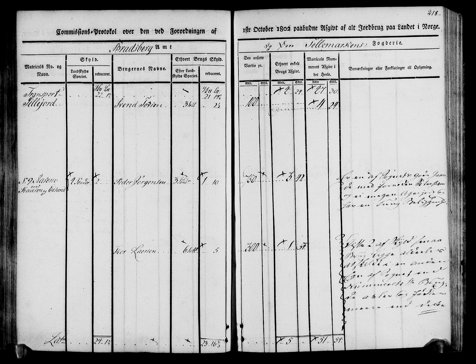 Rentekammeret inntil 1814, Realistisk ordnet avdeling, AV/RA-EA-4070/N/Ne/Nea/L0074: Øvre Telemarken fogderi. Kommisjonsprotokoll for fogderiets østre del - Tinn, Hjartdal og Seljord prestegjeld., 1803, p. 218