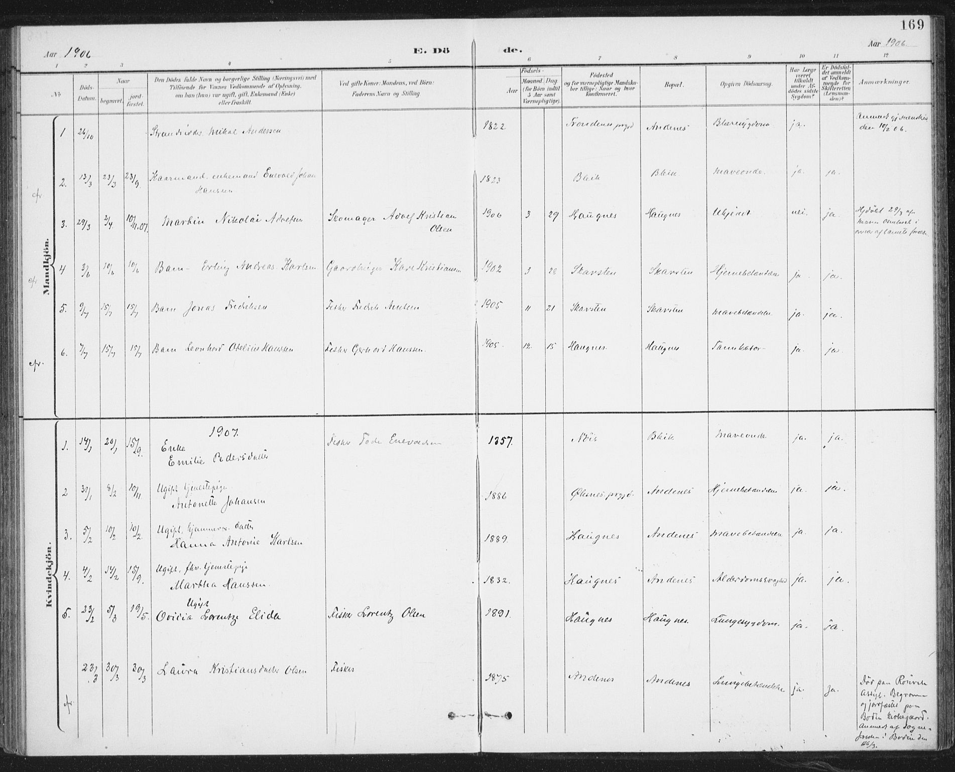 Ministerialprotokoller, klokkerbøker og fødselsregistre - Nordland, SAT/A-1459/899/L1437: Parish register (official) no. 899A05, 1897-1908, p. 169