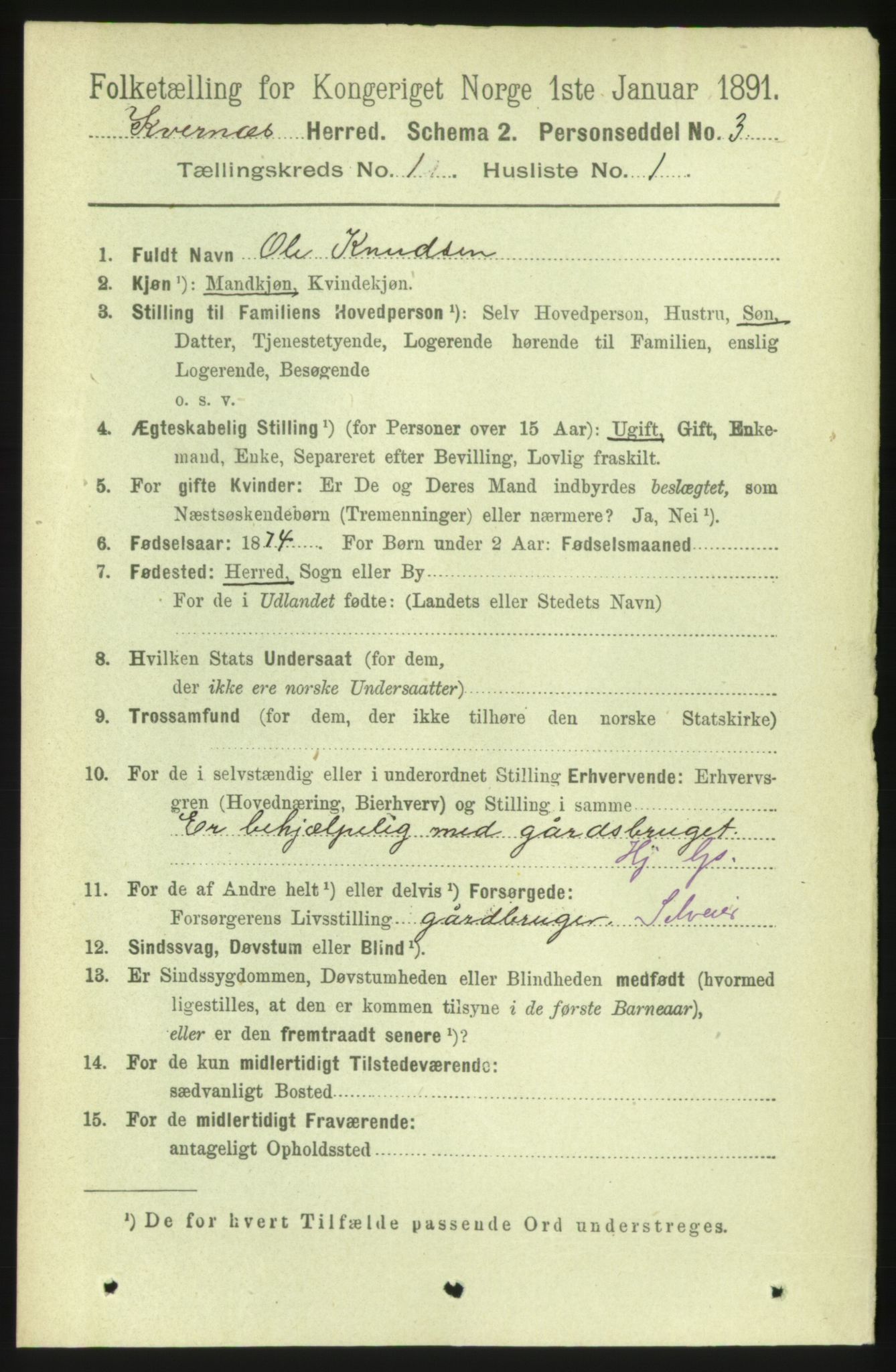 RA, 1891 census for 1553 Kvernes, 1891, p. 120