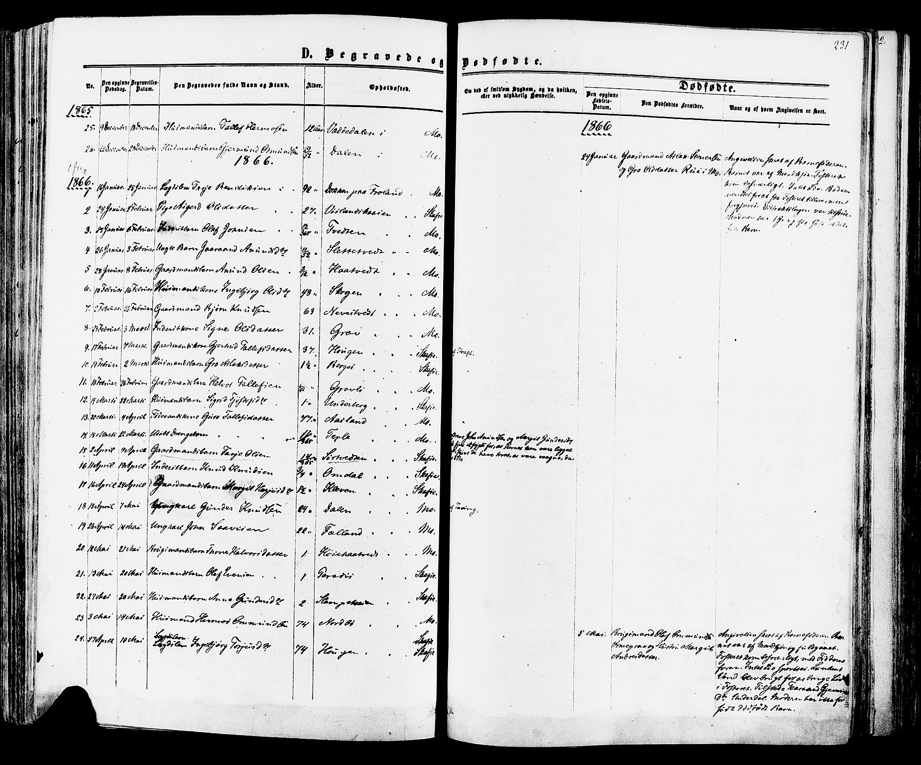 Mo kirkebøker, SAKO/A-286/F/Fa/L0006: Parish register (official) no. I 6, 1865-1885, p. 231