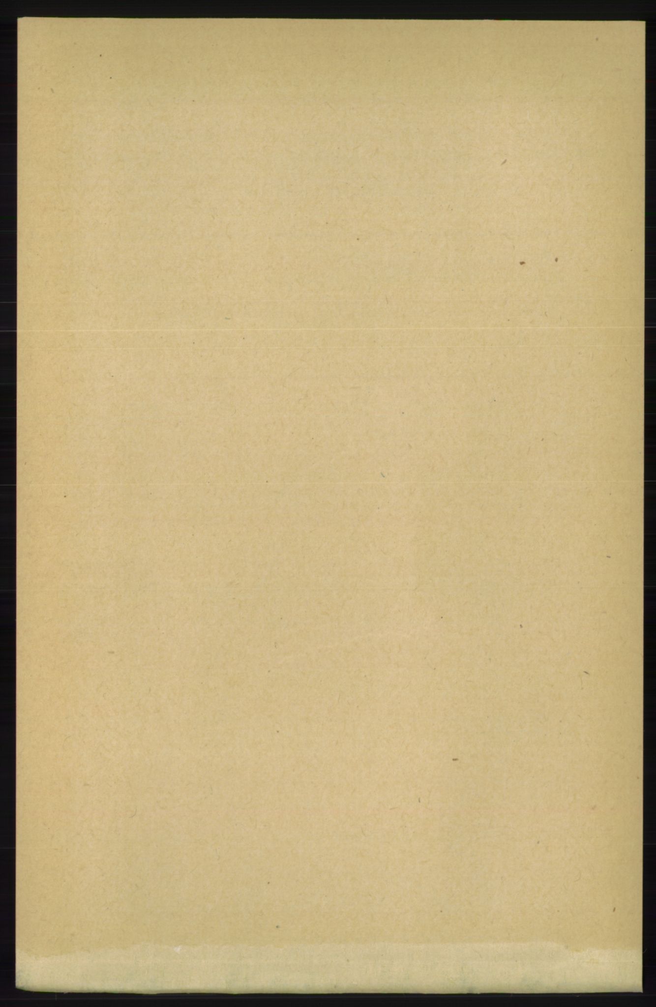 RA, 1891 census for 1133 Hjelmeland, 1891, p. 998