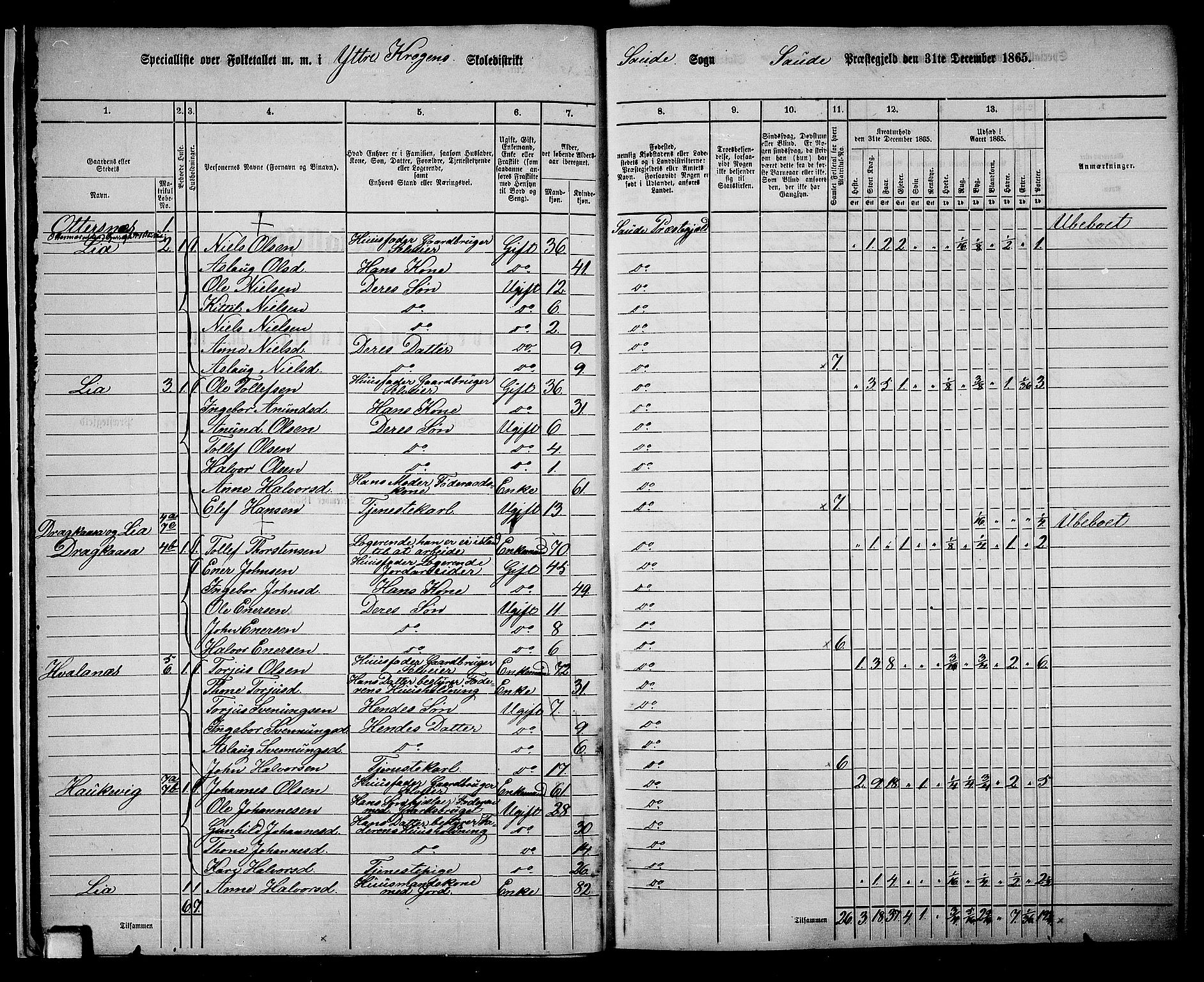 RA, 1865 census for Sauherad, 1865, p. 15