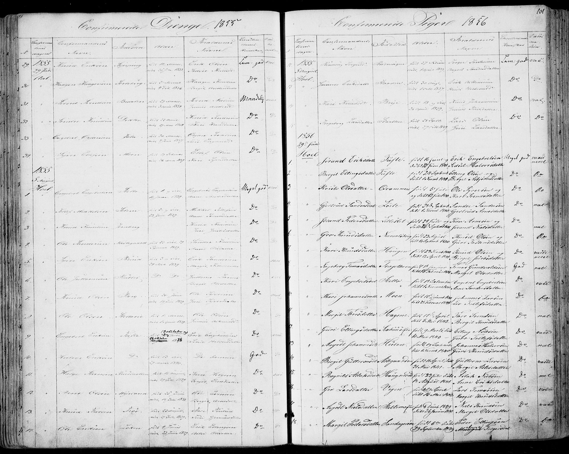 Ål kirkebøker, SAKO/A-249/F/Fa/L0006: Parish register (official) no. I 6, 1849-1864, p. 101