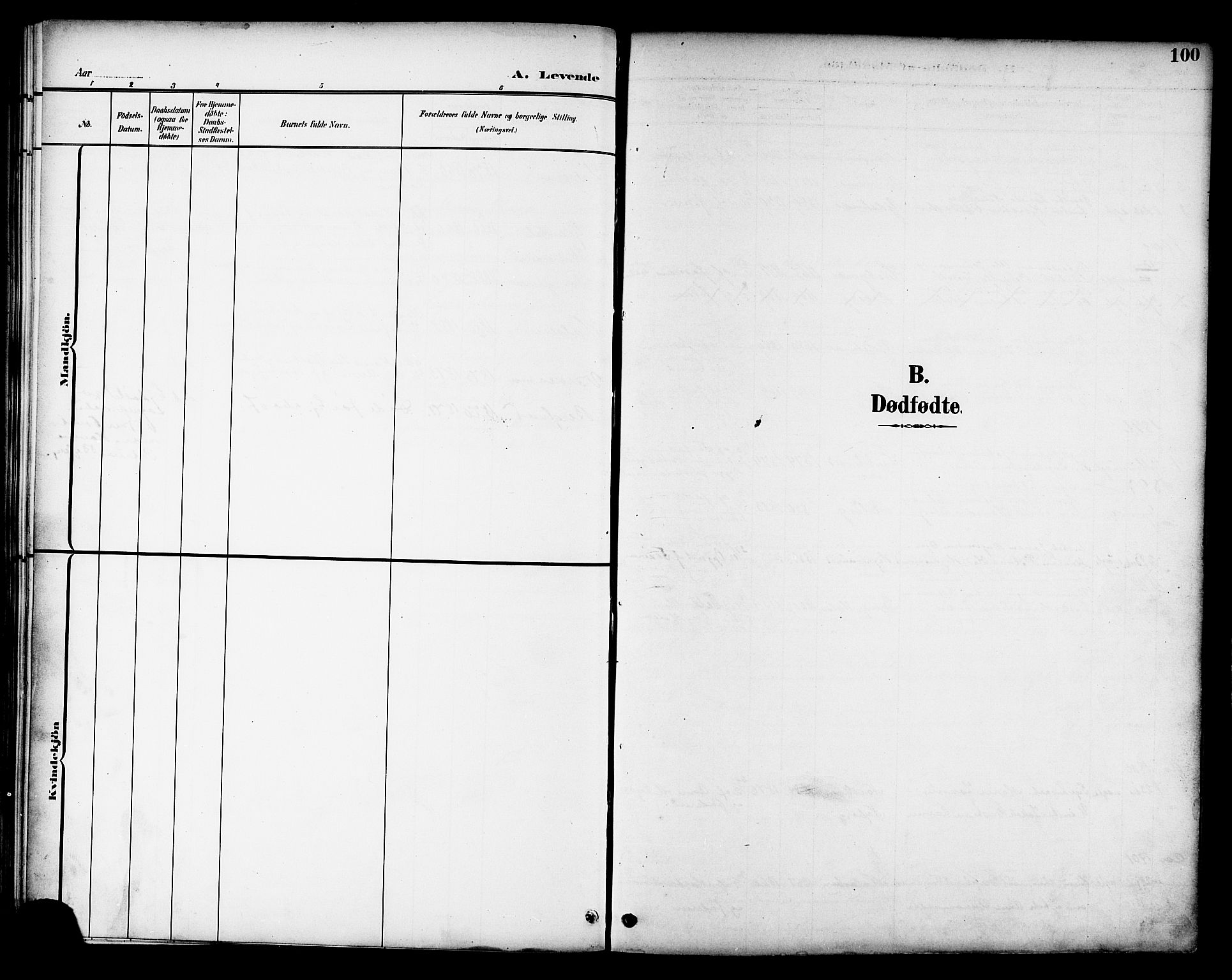 Ministerialprotokoller, klokkerbøker og fødselsregistre - Nord-Trøndelag, SAT/A-1458/709/L0087: Parish register (copy) no. 709C01, 1892-1913, p. 100