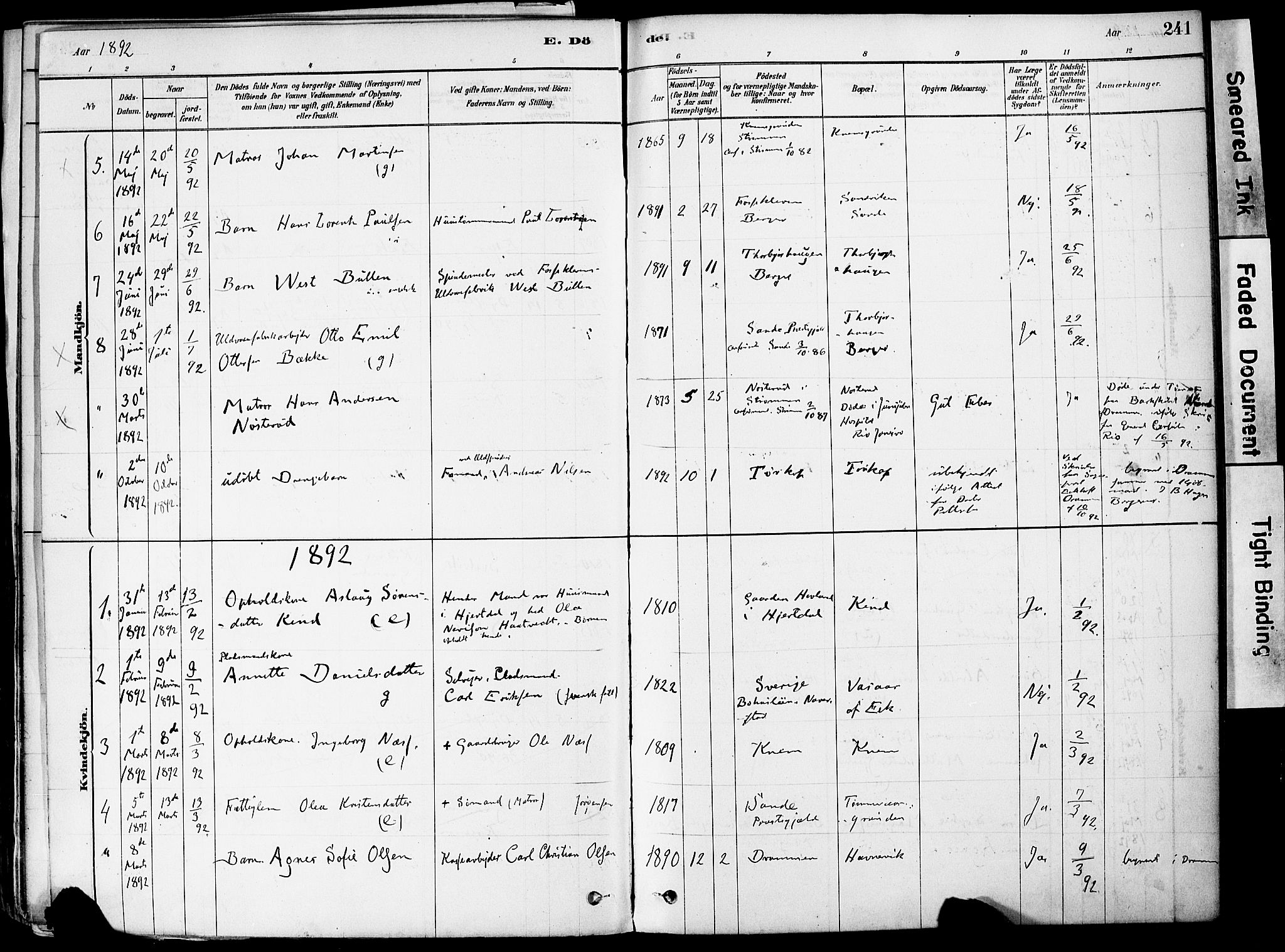 Strømm kirkebøker, AV/SAKO-A-322/F/Fa/L0004: Parish register (official) no. I 4, 1878-1899, p. 241