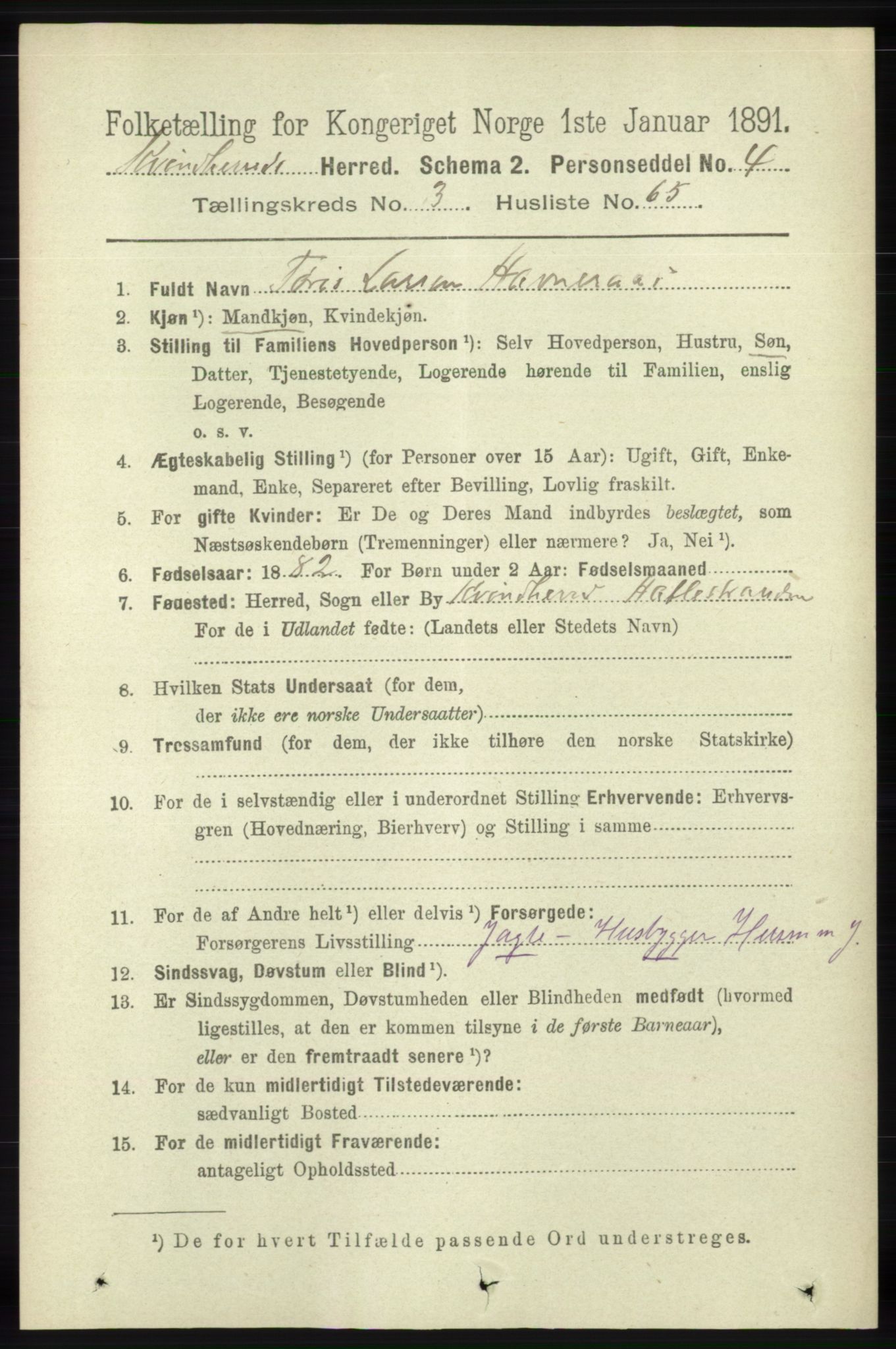 RA, 1891 census for 1224 Kvinnherad, 1891, p. 1324