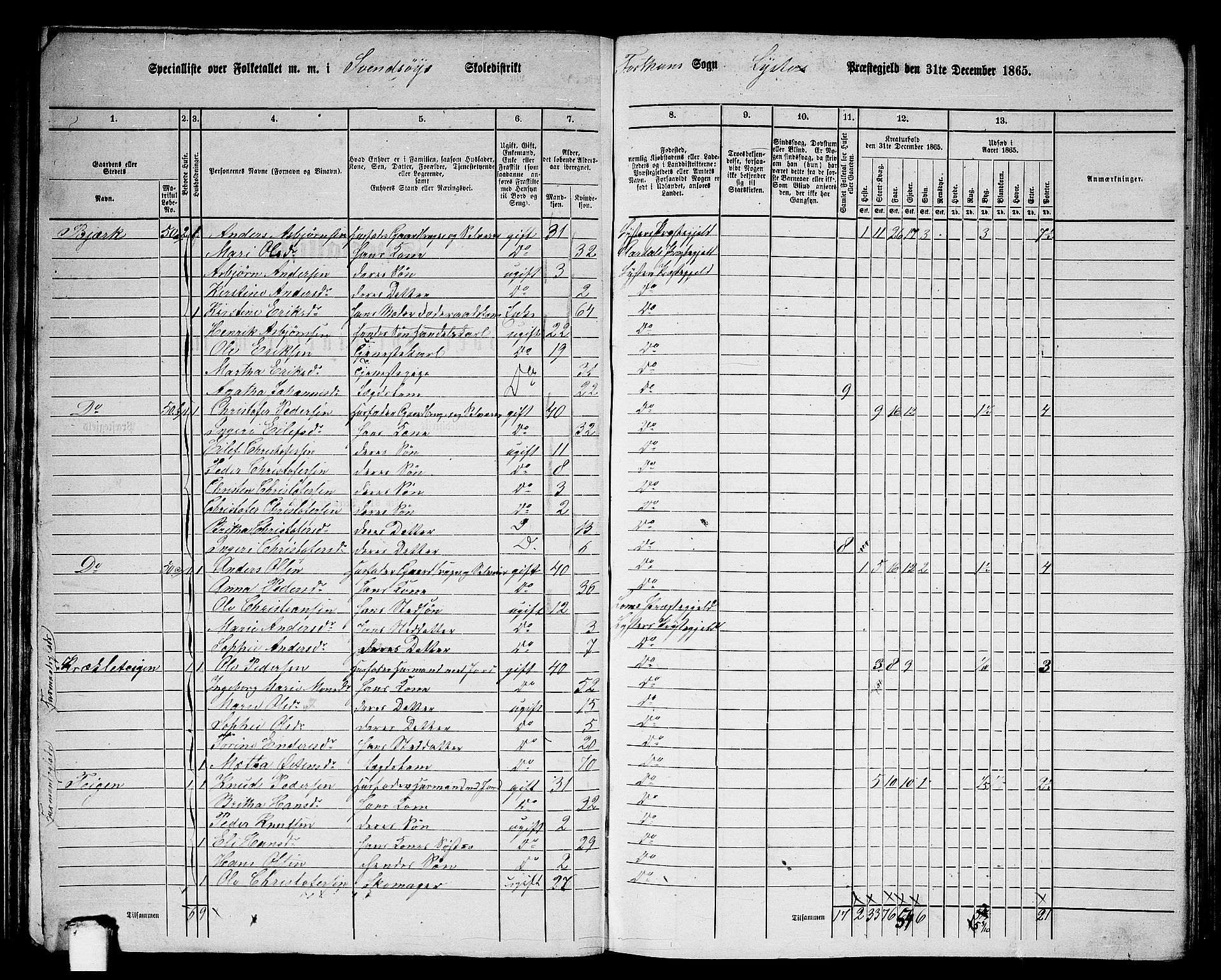 RA, 1865 census for Luster, 1865, p. 47