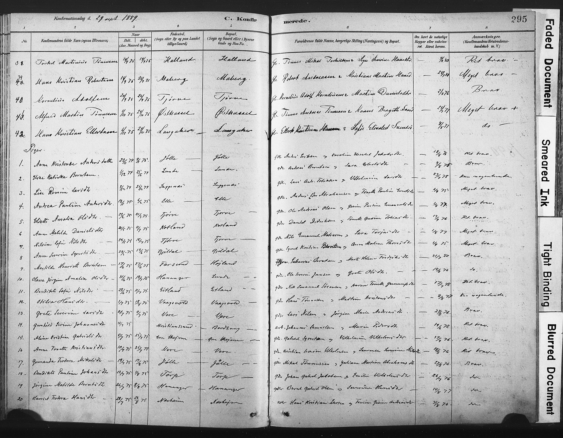 Lista sokneprestkontor, AV/SAK-1111-0027/F/Fa/L0012: Parish register (official) no. A 12, 1879-1903, p. 295