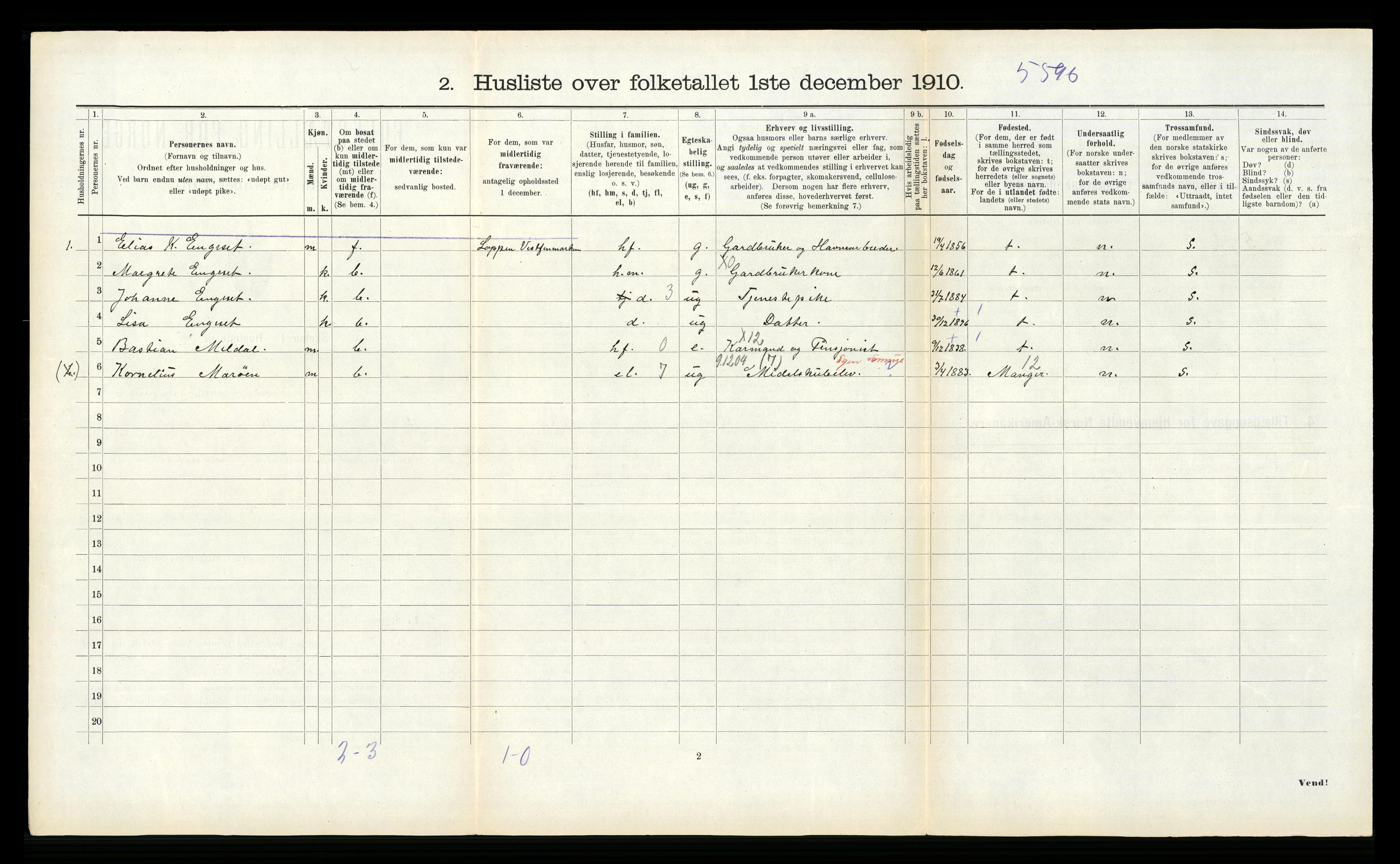 RA, 1910 census for Volda, 1910, p. 313