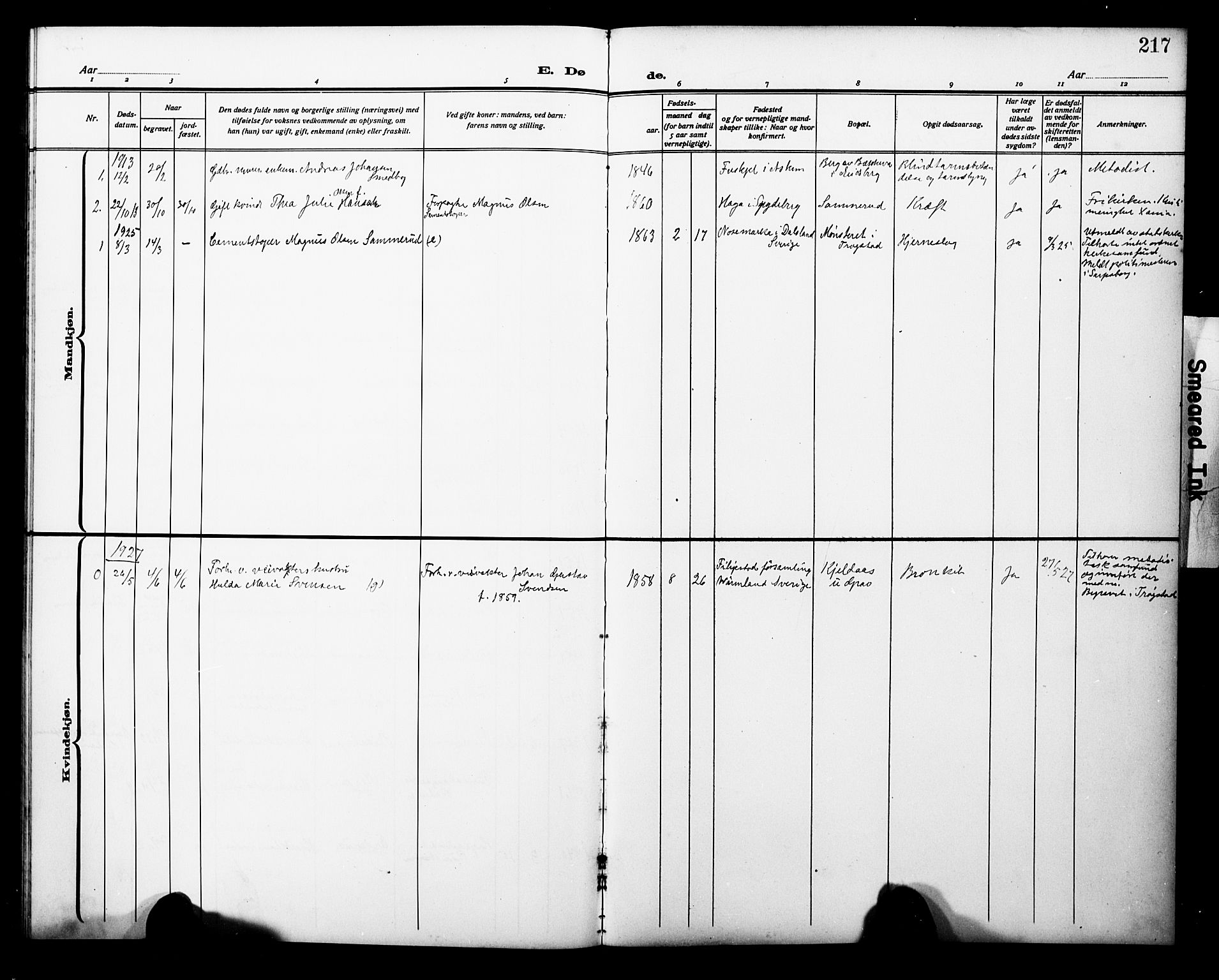 Trøgstad prestekontor Kirkebøker, SAO/A-10925/G/Ga/L0002: Parish register (copy) no. I 2, 1911-1929, p. 217
