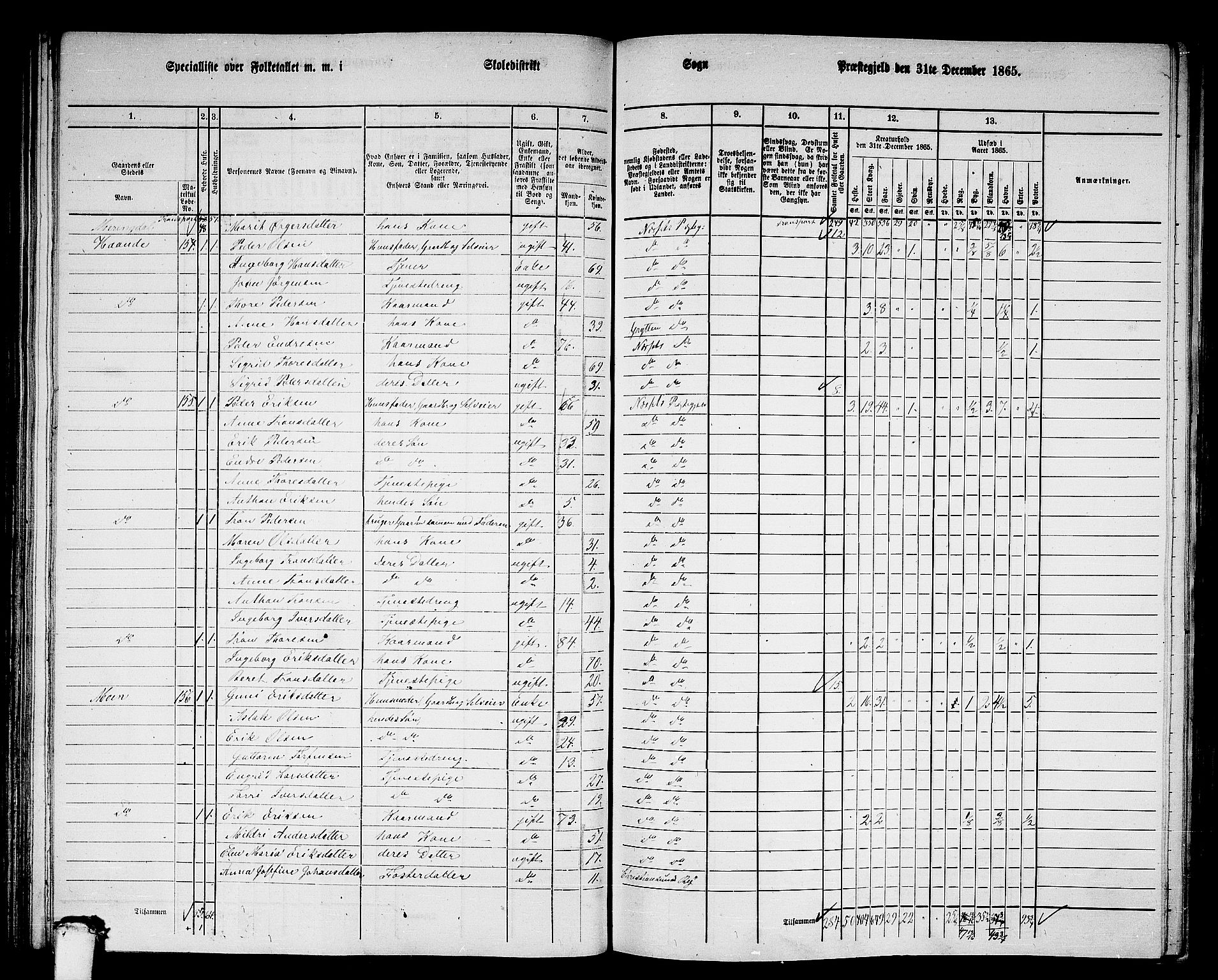 RA, 1865 census for Nesset, 1865, p. 105