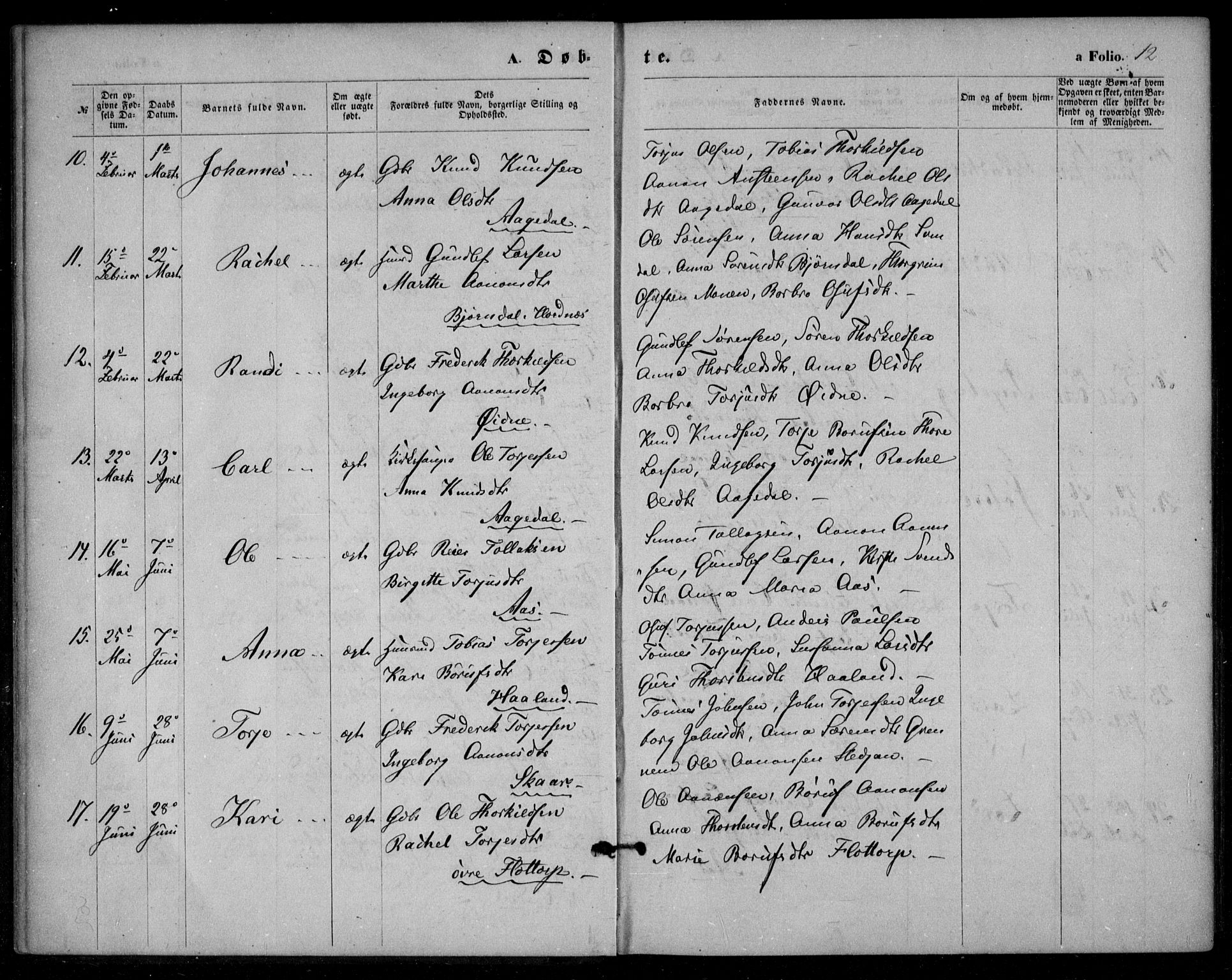 Bjelland sokneprestkontor, SAK/1111-0005/F/Fa/Fac/L0002: Parish register (official) no. A 2, 1866-1887, p. 12