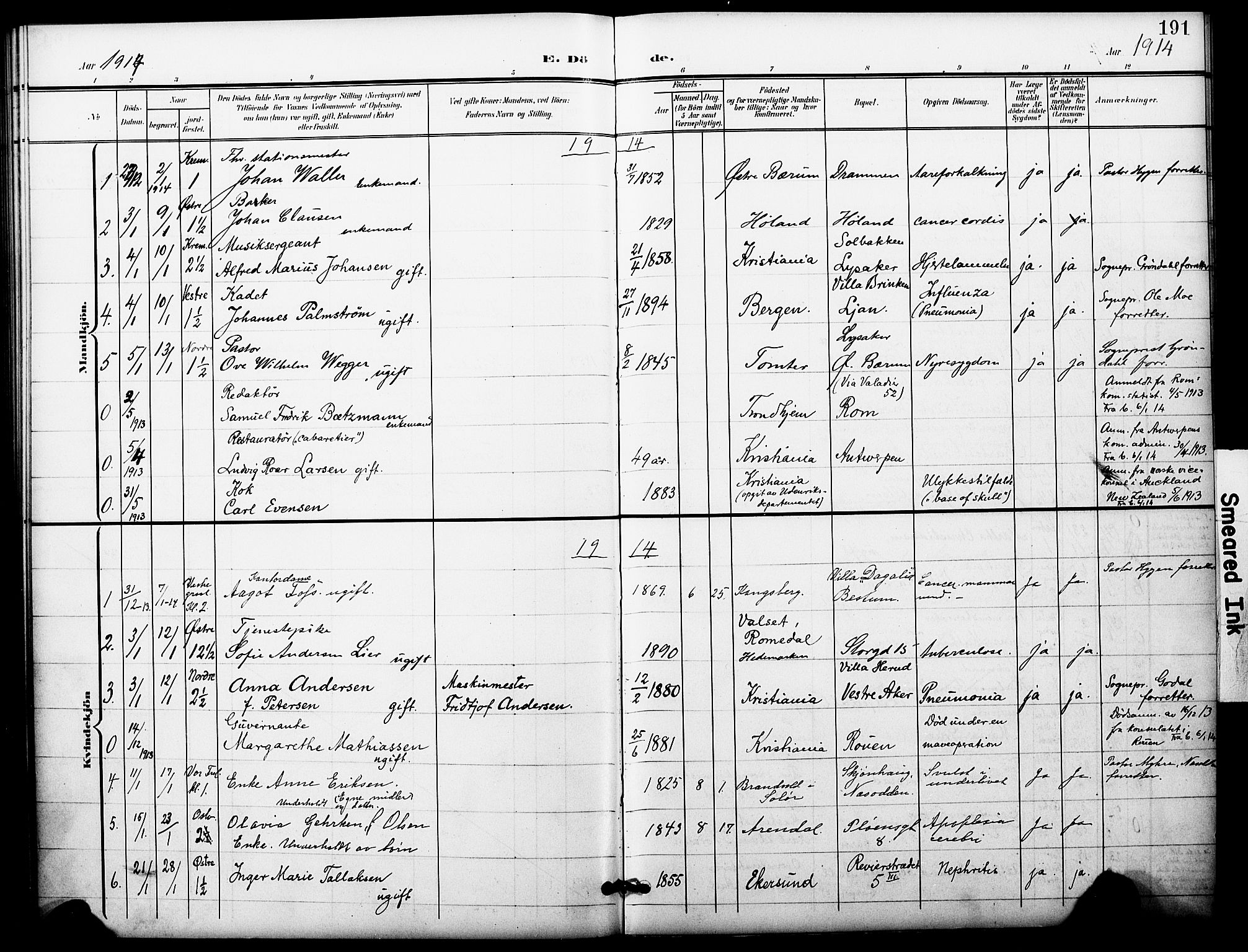 Oslo domkirke Kirkebøker, AV/SAO-A-10752/F/Fa/L0036: Parish register (official) no. 36, 1901-1919, p. 191