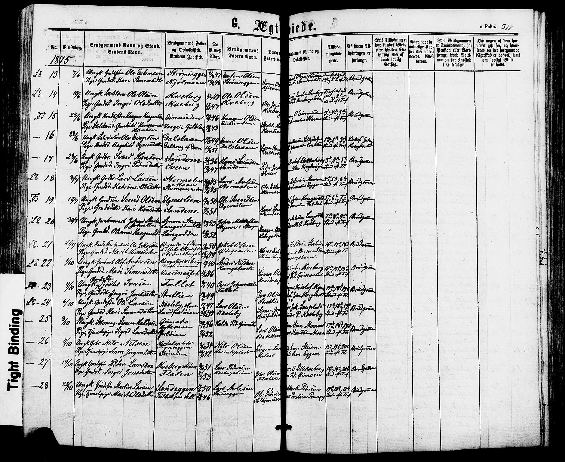 Alvdal prestekontor, SAH/PREST-060/H/Ha/Haa/L0001: Parish register (official) no. 1, 1863-1882, p. 310