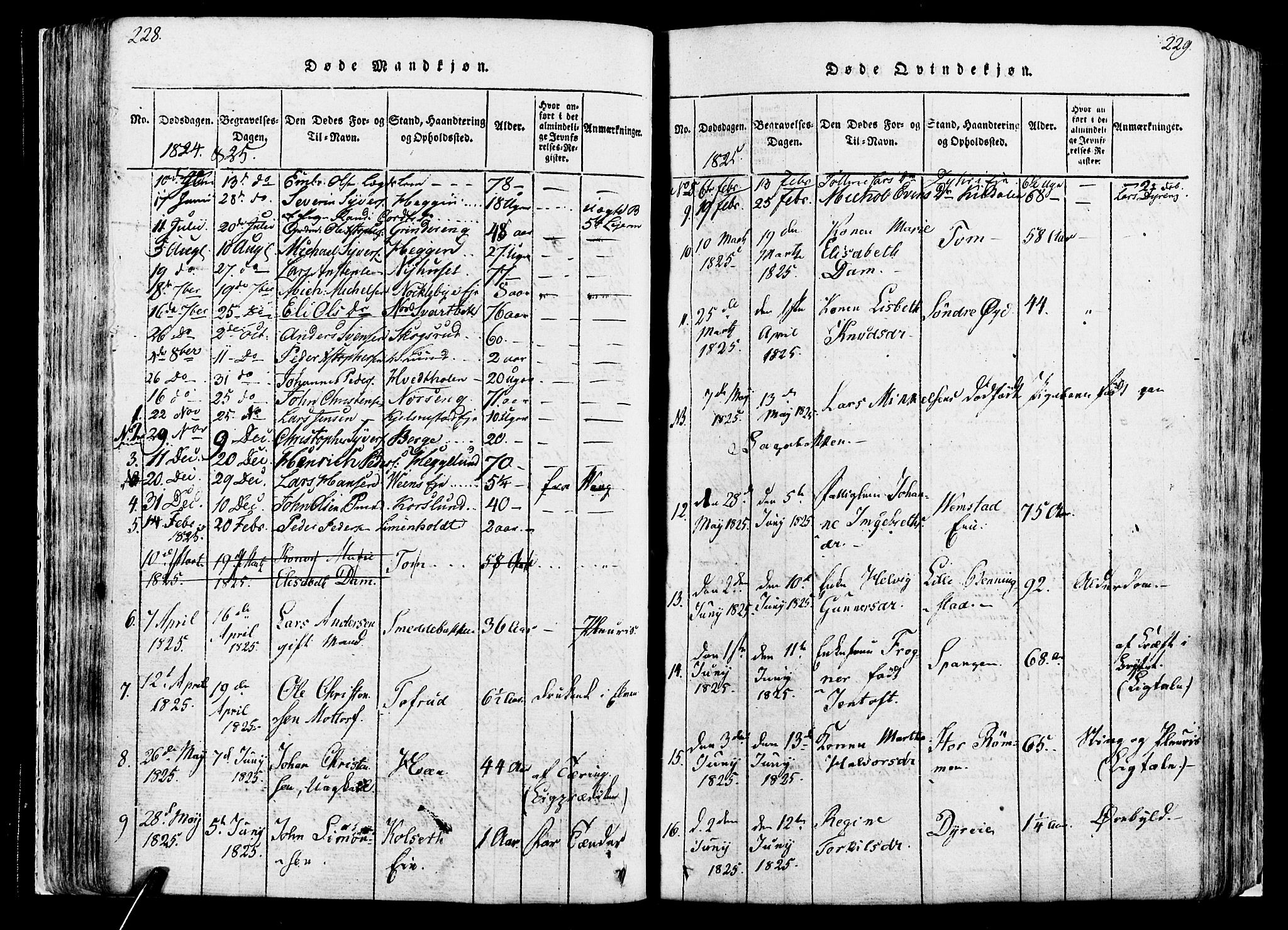 Løten prestekontor, SAH/PREST-022/K/Ka/L0005: Parish register (official) no. 5, 1814-1832, p. 228-229