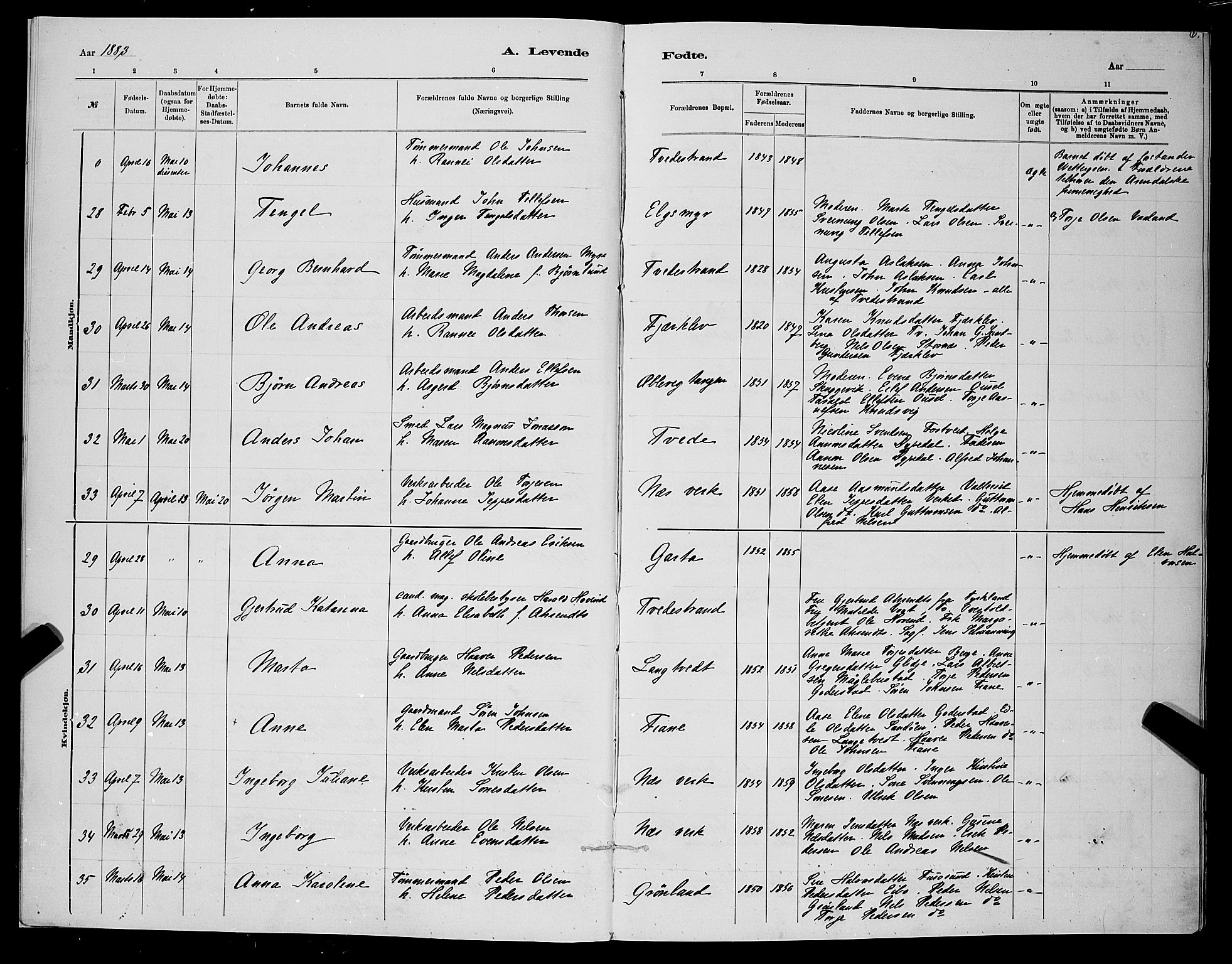 Holt sokneprestkontor, AV/SAK-1111-0021/F/Fb/L0010: Parish register (copy) no. B 10, 1883-1896, p. 6