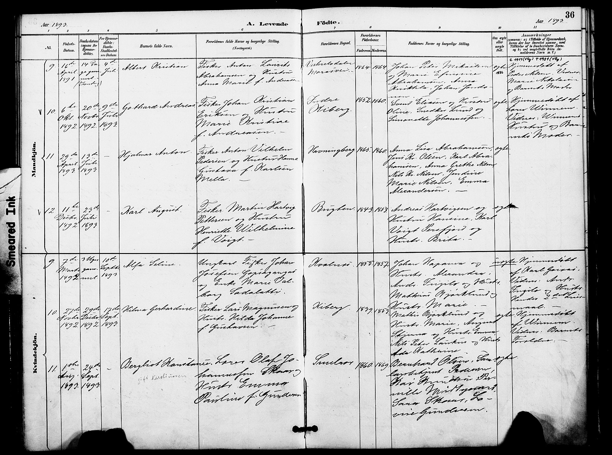 Vardø sokneprestkontor, AV/SATØ-S-1332/H/Ha/L0009kirke: Parish register (official) no. 9, 1887-1898, p. 36