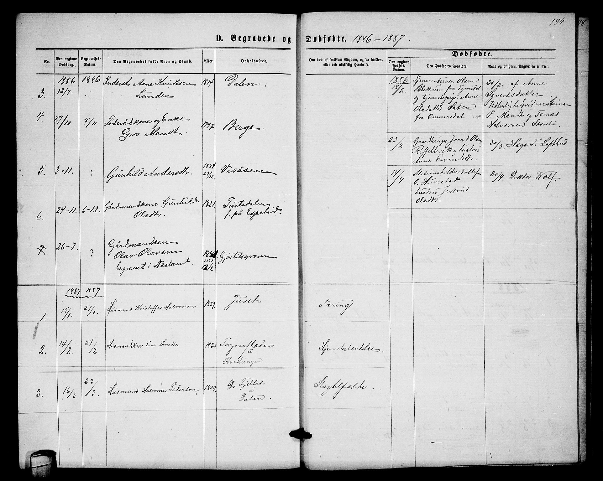 Lårdal kirkebøker, SAKO/A-284/G/Gb/L0002: Parish register (copy) no. II 2, 1865-1888, p. 196
