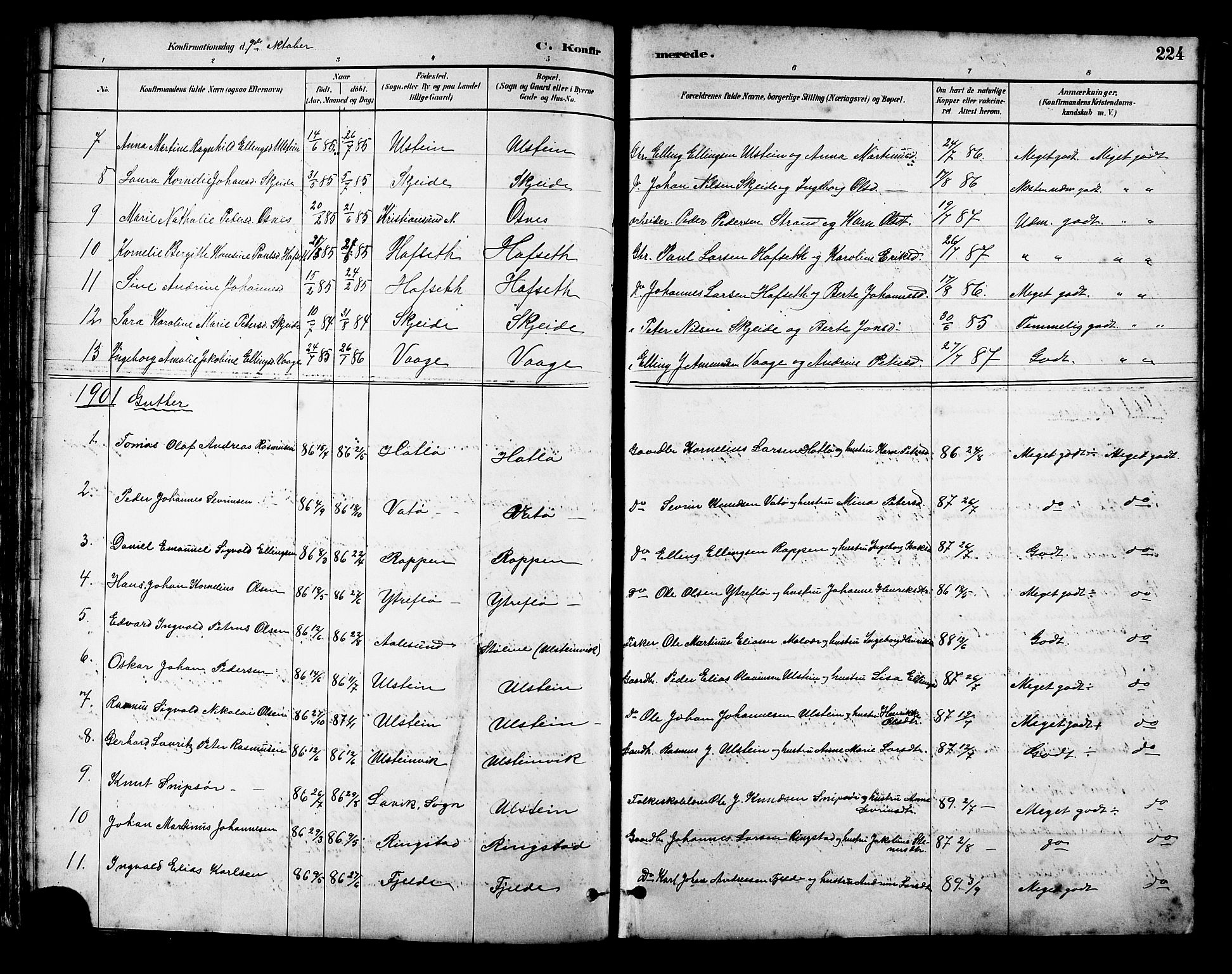 Ministerialprotokoller, klokkerbøker og fødselsregistre - Møre og Romsdal, SAT/A-1454/509/L0112: Parish register (copy) no. 509C02, 1883-1922, p. 224