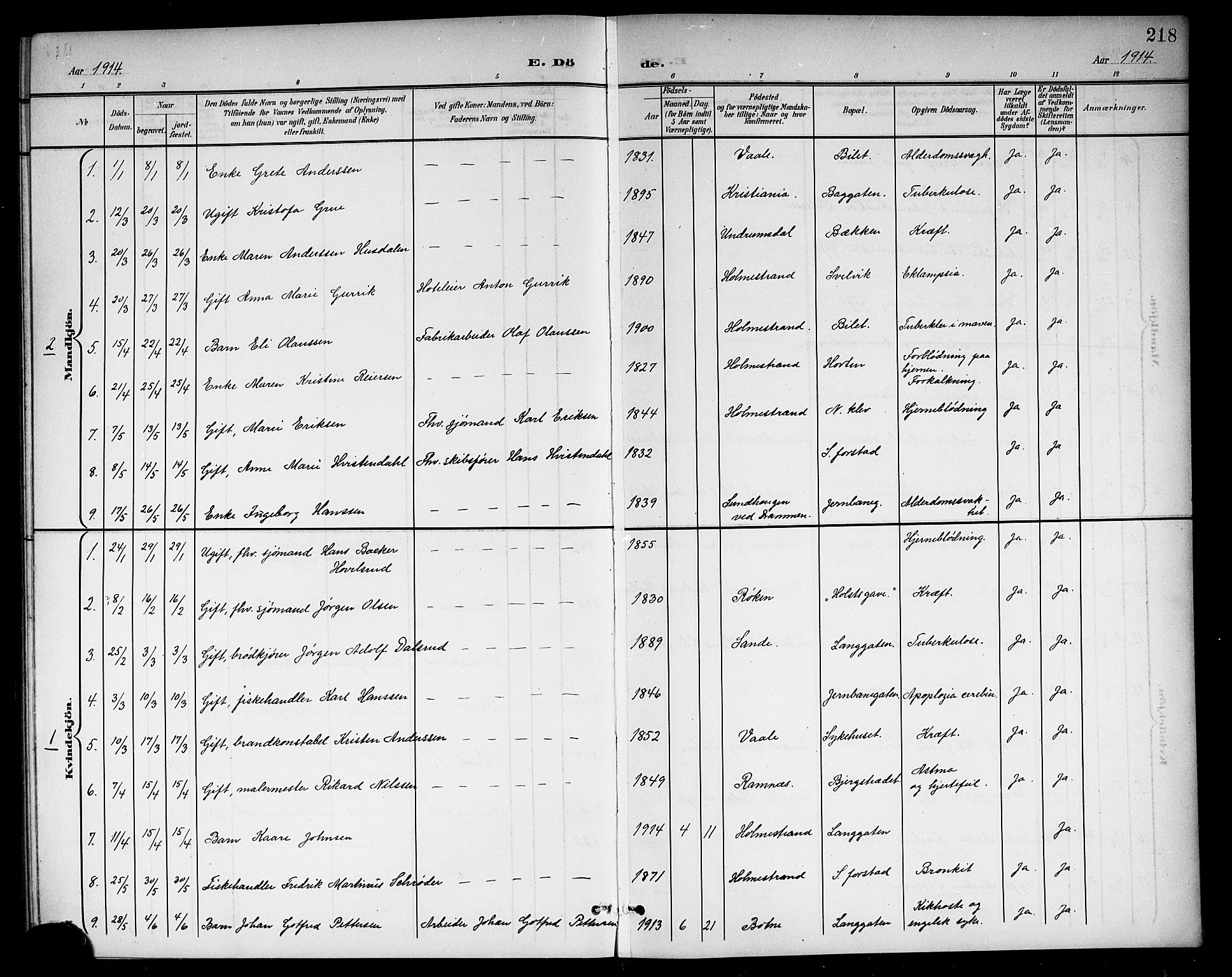 Holmestrand kirkebøker, AV/SAKO-A-346/G/Ga/L0006: Parish register (copy) no. 6, 1901-1923, p. 218