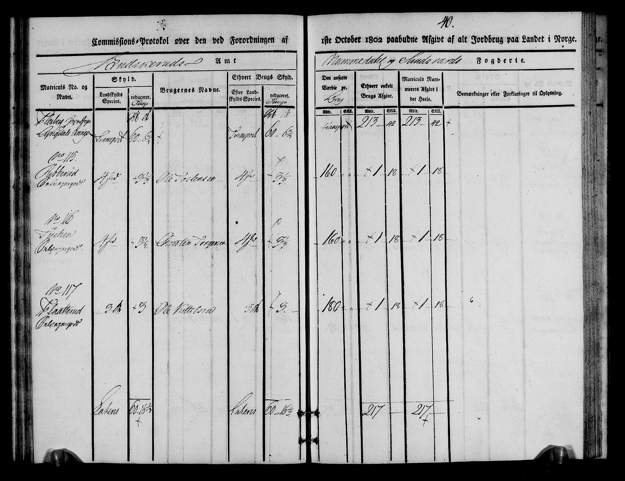 Rentekammeret inntil 1814, Realistisk ordnet avdeling, AV/RA-EA-4070/N/Ne/Nea/L0055: Numedal og Sandsvær fogderi. Kommisjonsprotokoll for Flesberg prestegjeld, 1803, p. 41