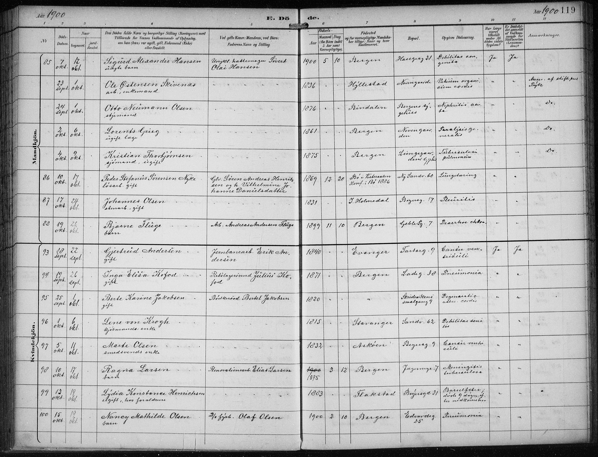 Sandviken Sokneprestembete, SAB/A-77601/H/Ha/L0018: Parish register (official) no. E 1, 1893-1905, p. 119