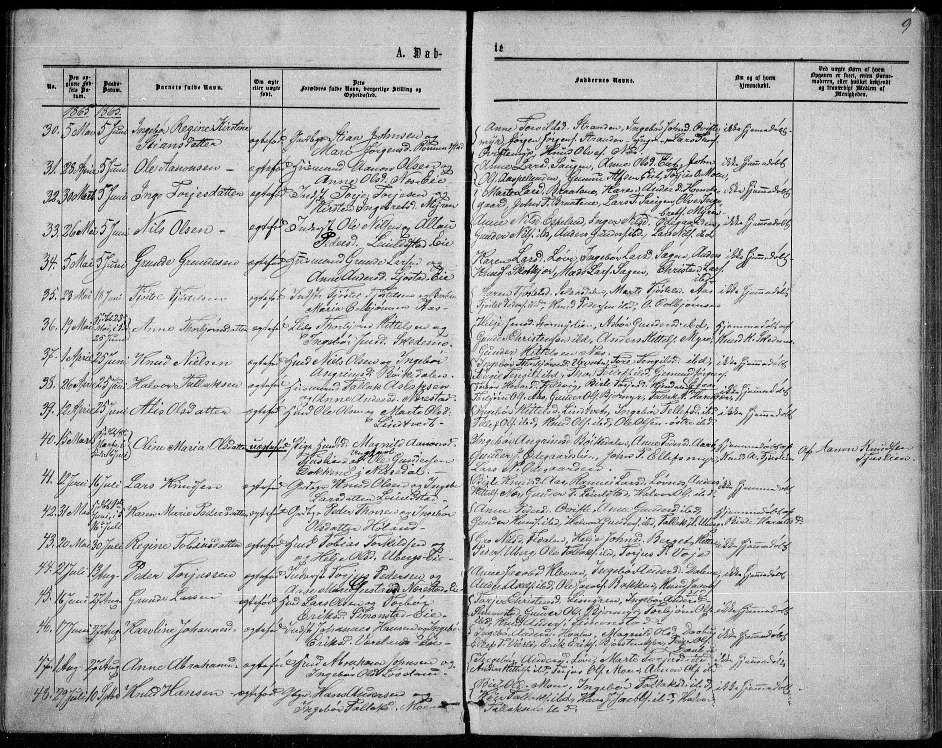 Gjerstad sokneprestkontor, AV/SAK-1111-0014/F/Fb/Fbb/L0003: Parish register (copy) no. B 3, 1862-1889, p. 9