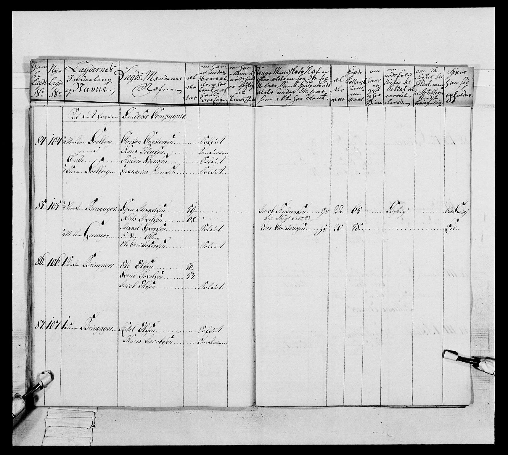 Generalitets- og kommissariatskollegiet, Det kongelige norske kommissariatskollegium, AV/RA-EA-5420/E/Eh/L0046: 2. Akershusiske nasjonale infanteriregiment, 1789, p. 213