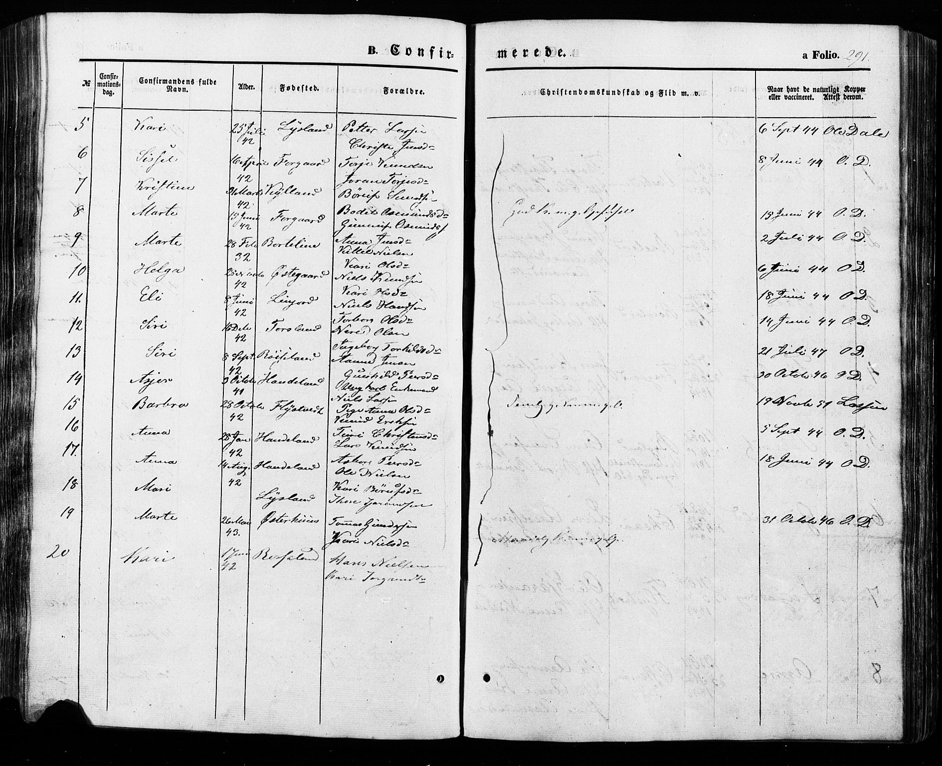 Åseral sokneprestkontor, AV/SAK-1111-0051/F/Fa/L0002: Parish register (official) no. A 2, 1854-1884, p. 291