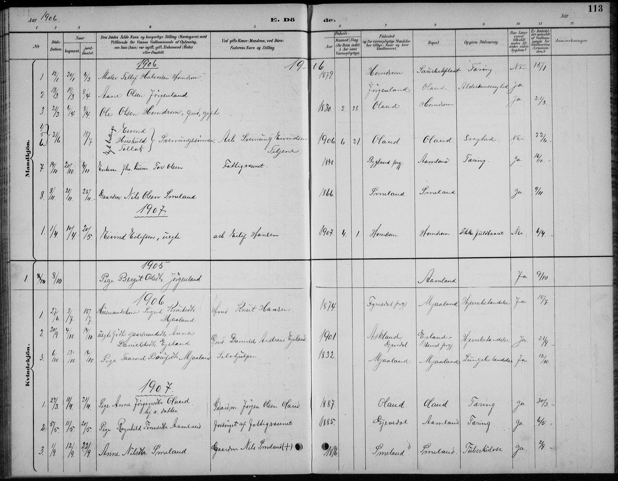 Åmli sokneprestkontor, SAK/1111-0050/F/Fb/Fba/L0002: Parish register (copy) no. B 2, 1890-1912, p. 113