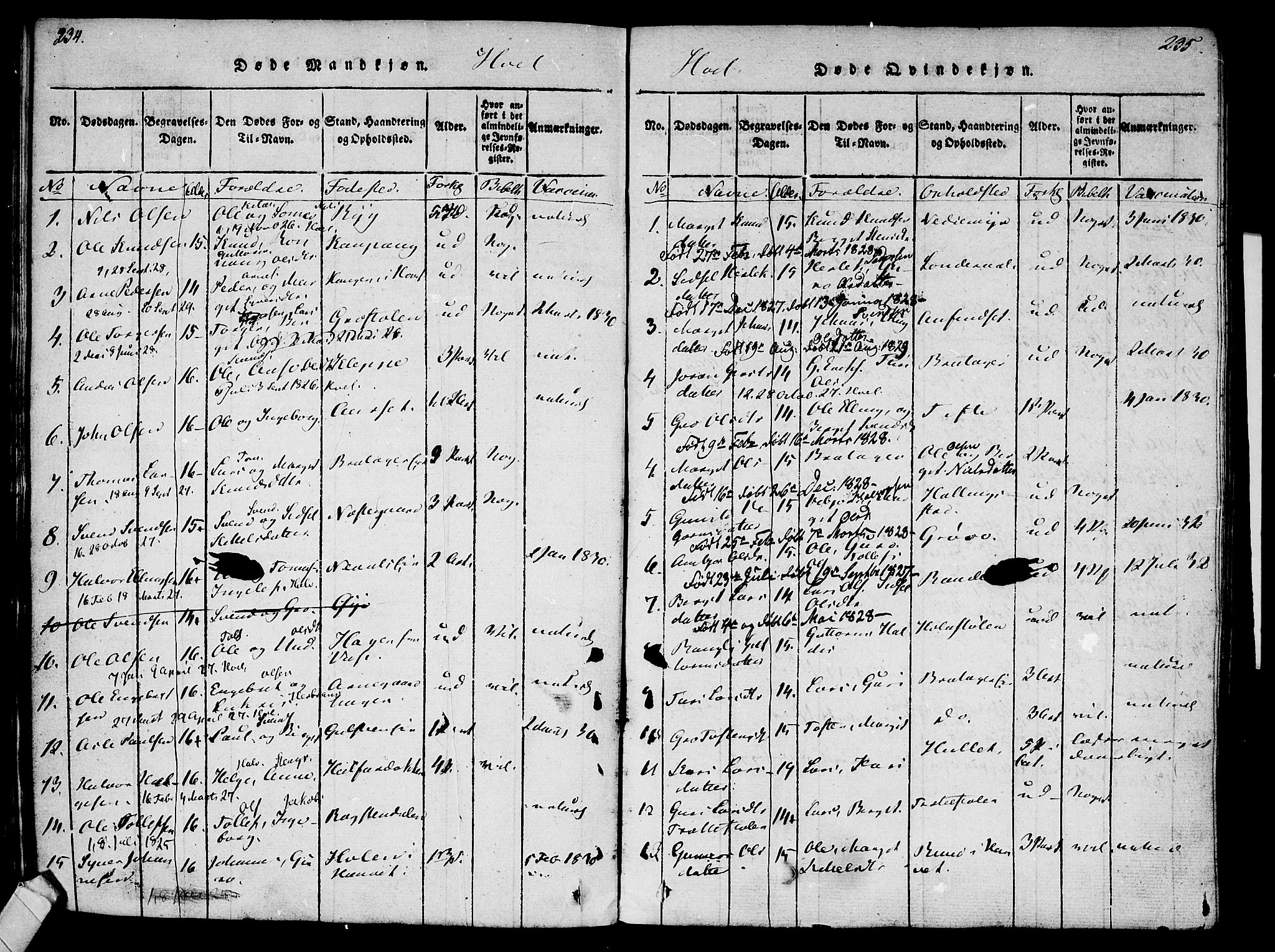 Ål kirkebøker, SAKO/A-249/F/Fa/L0004: Parish register (official) no. I 4, 1815-1825, p. 234-235