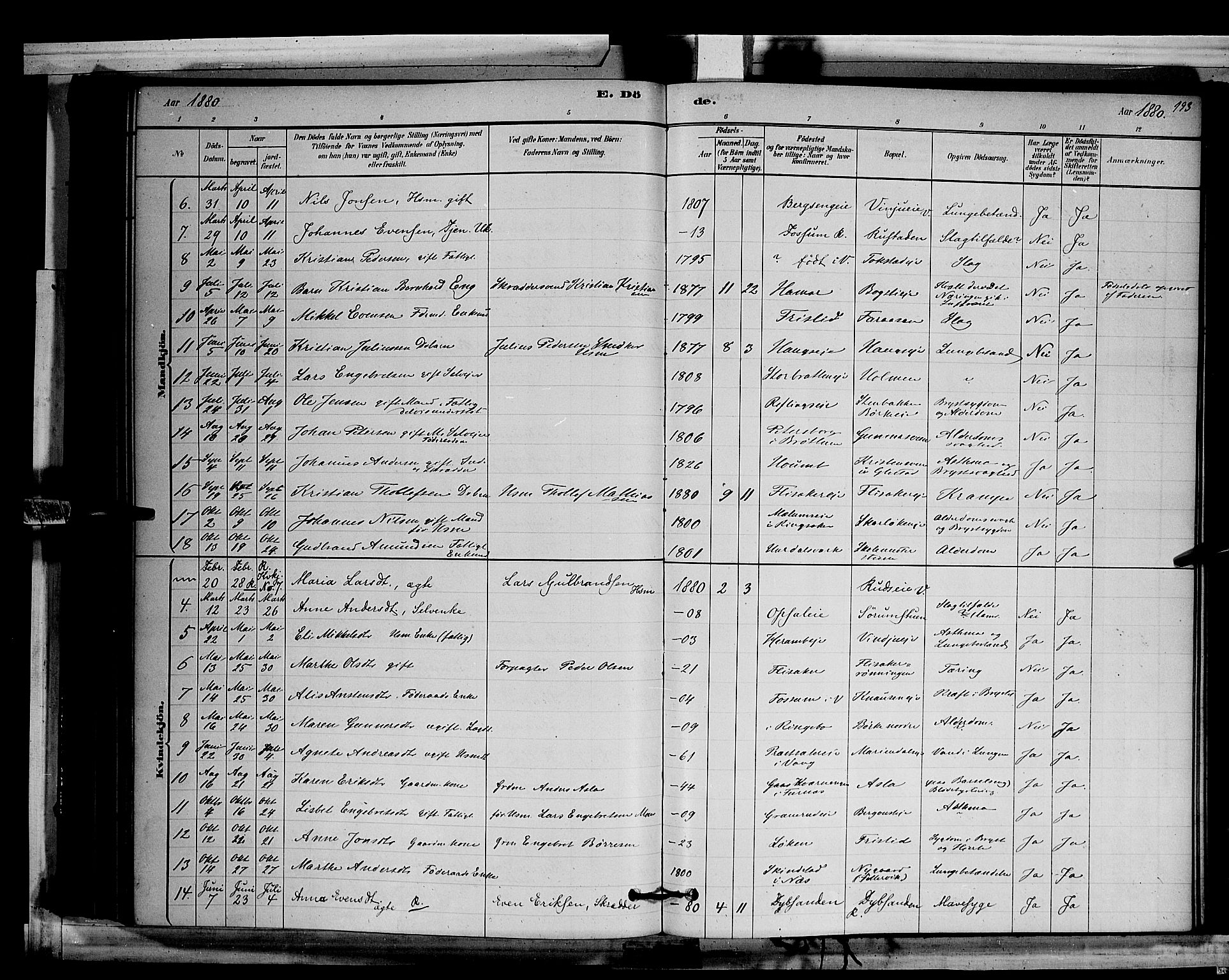 Ringsaker prestekontor, SAH/PREST-014/L/La/L0011: Parish register (copy) no. 11, 1879-1890, p. 193