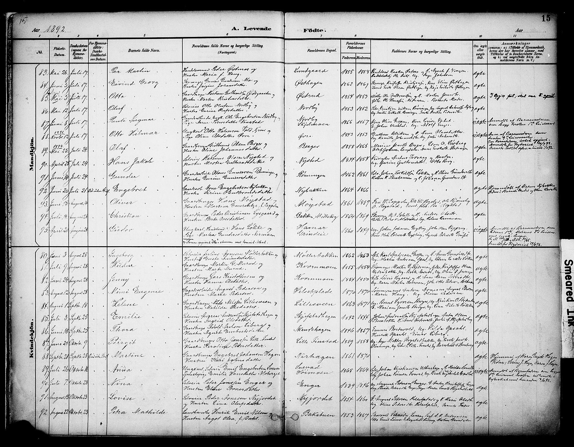 Elverum prestekontor, AV/SAH-PREST-044/H/Ha/Haa/L0014: Parish register (official) no. 14, 1891-1909, p. 15