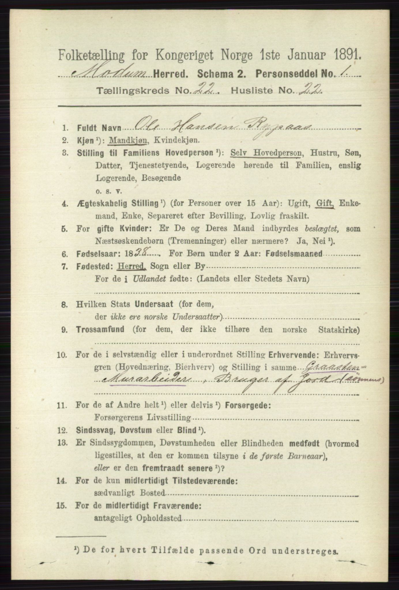 RA, 1891 census for 0623 Modum, 1891, p. 8508