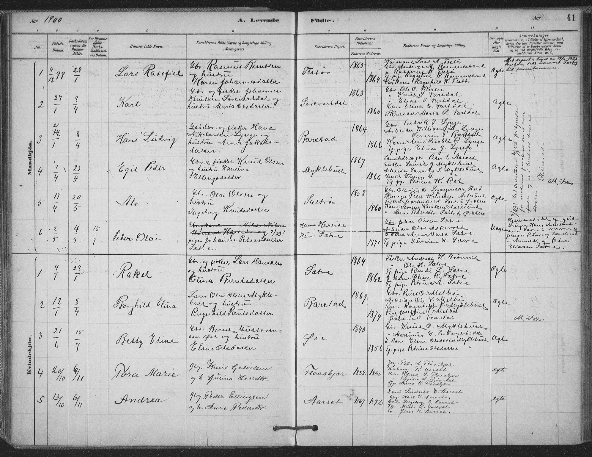 Ministerialprotokoller, klokkerbøker og fødselsregistre - Møre og Romsdal, AV/SAT-A-1454/514/L0199: Parish register (official) no. 514A01, 1878-1912, p. 41