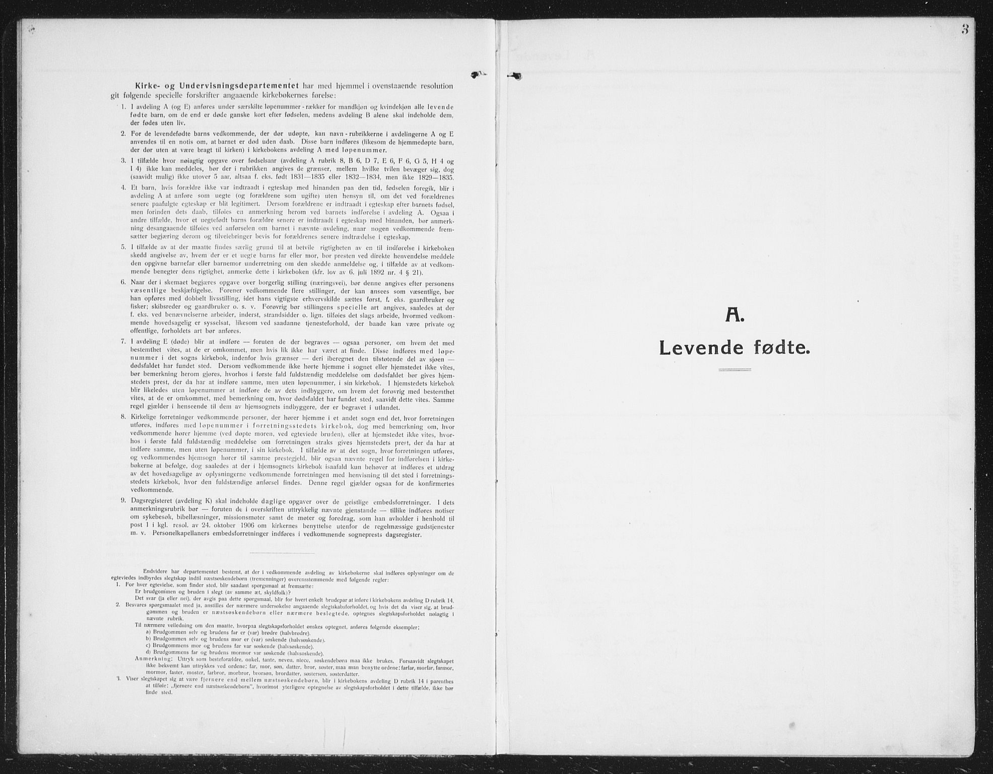 Ministerialprotokoller, klokkerbøker og fødselsregistre - Nordland, SAT/A-1459/807/L0124: Parish register (copy) no. 807C02, 1910-1935, p. 3