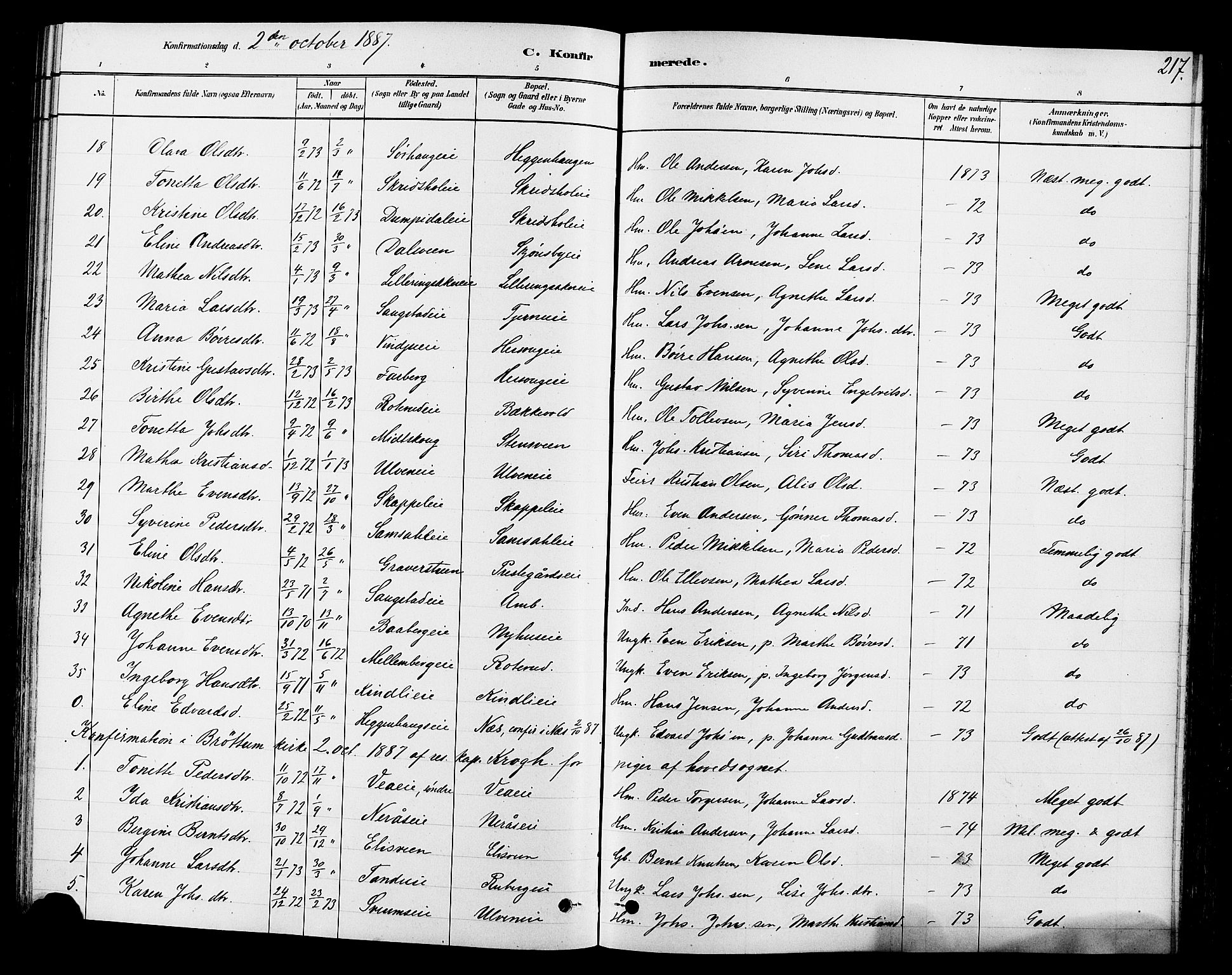 Ringsaker prestekontor, AV/SAH-PREST-014/L/La/L0009: Parish register (copy) no. 9, 1879-1890, p. 217