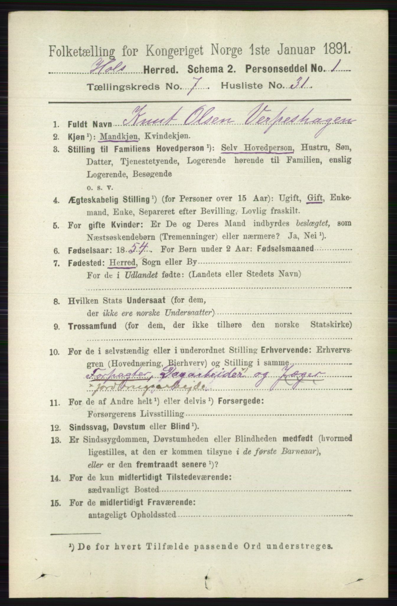 RA, 1891 census for 0620 Hol, 1891, p. 2197