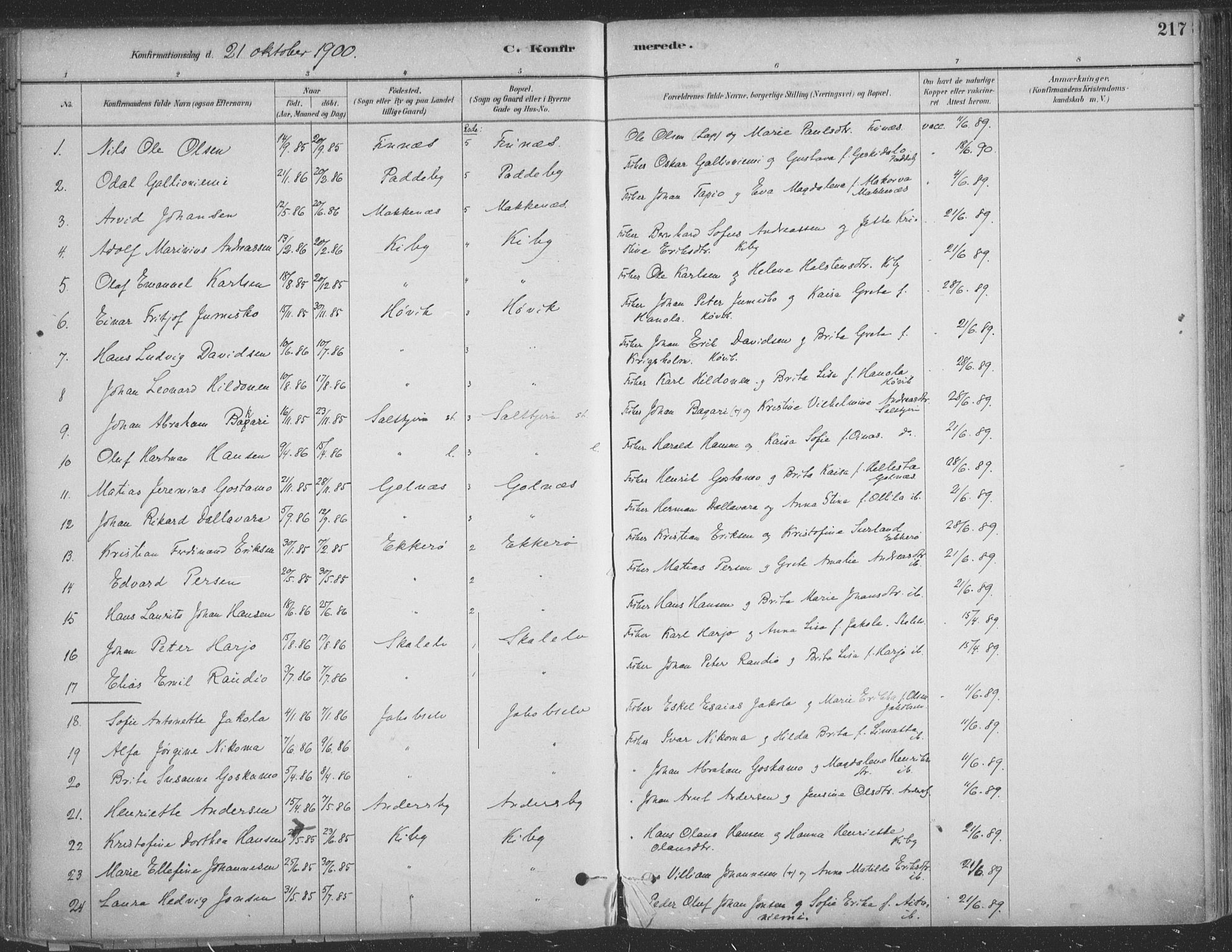 Vadsø sokneprestkontor, SATØ/S-1325/H/Ha/L0009kirke: Parish register (official) no. 9, 1881-1917, p. 217