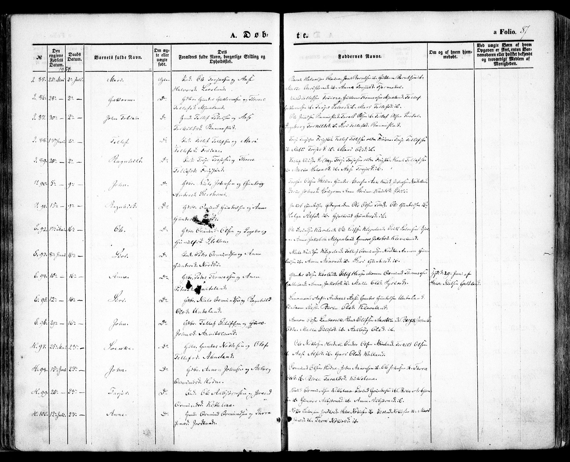 Evje sokneprestkontor, AV/SAK-1111-0008/F/Fa/Faa/L0005: Parish register (official) no. A 5, 1843-1865, p. 87