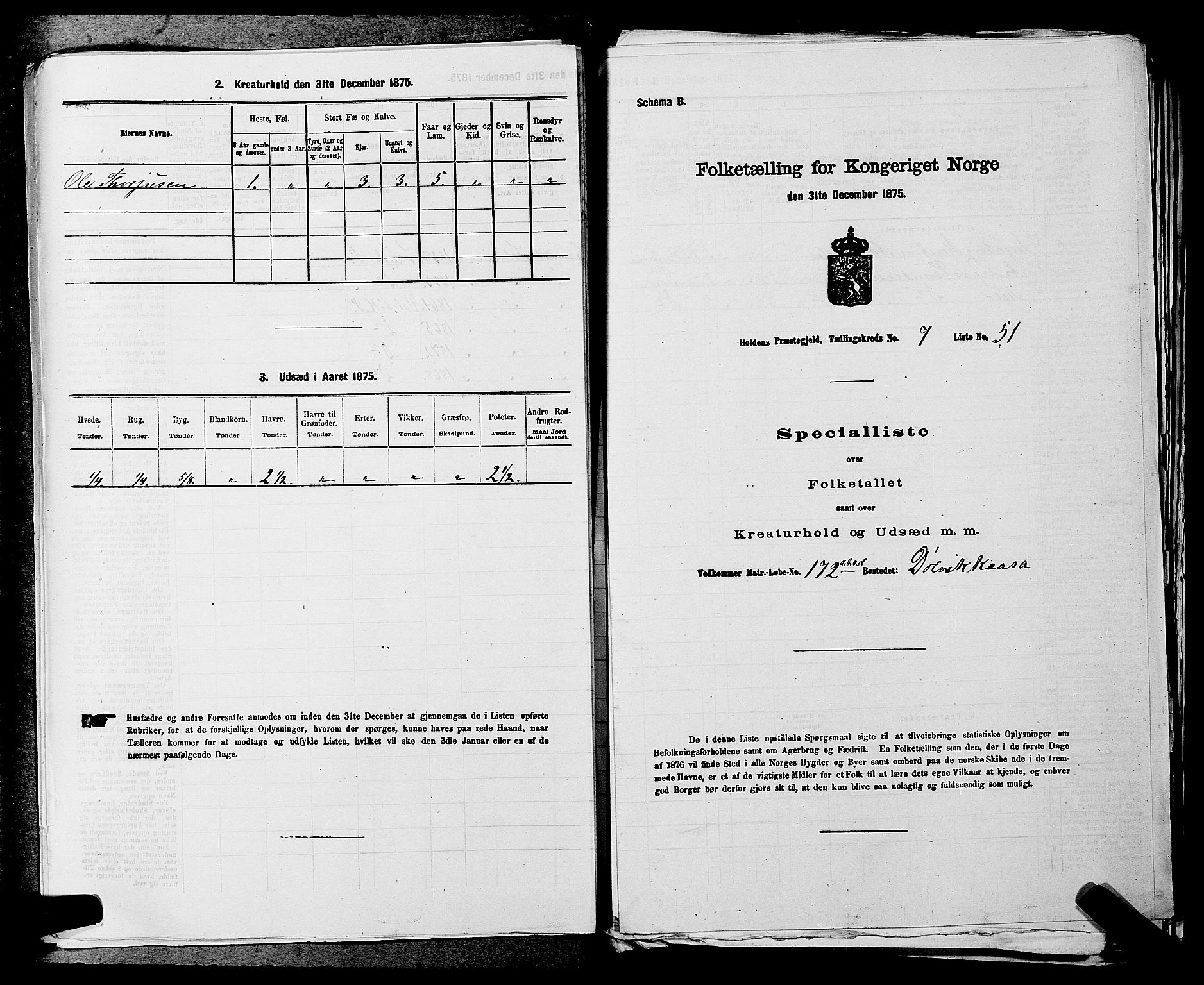 SAKO, 1875 census for 0819P Holla, 1875, p. 952