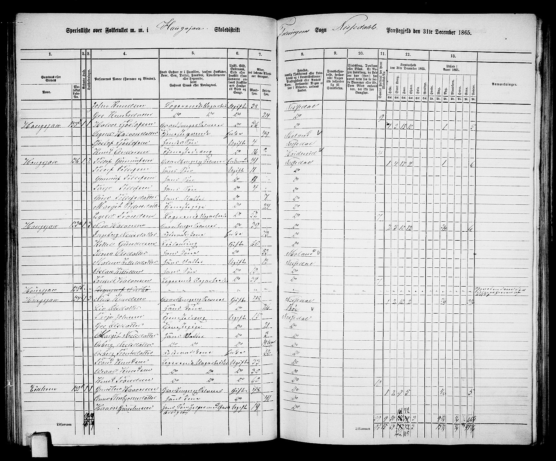 RA, 1865 census for Nissedal, 1865, p. 79