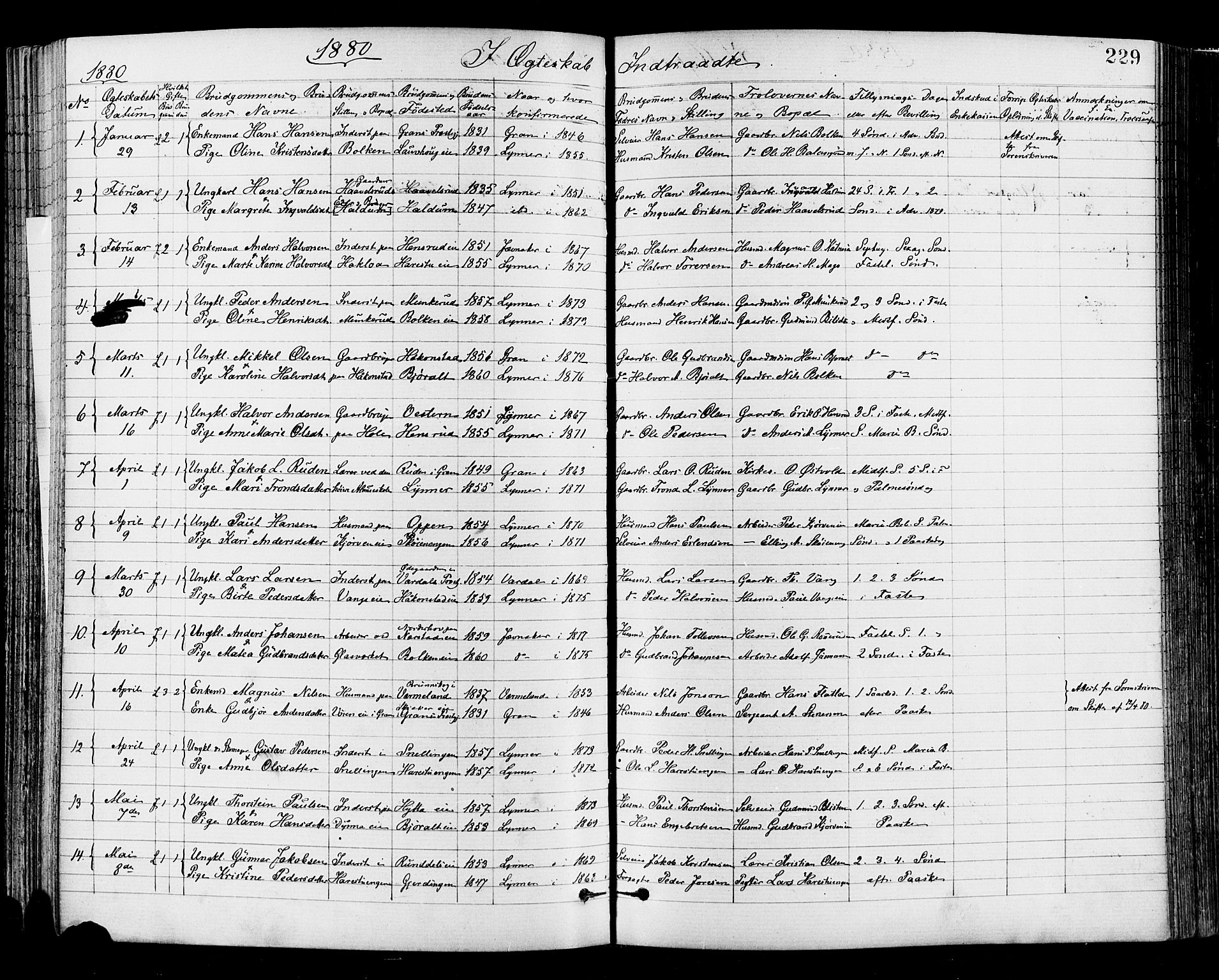 Jevnaker prestekontor, SAH/PREST-116/H/Ha/Haa/L0008: Parish register (official) no. 8, 1877-1890, p. 229