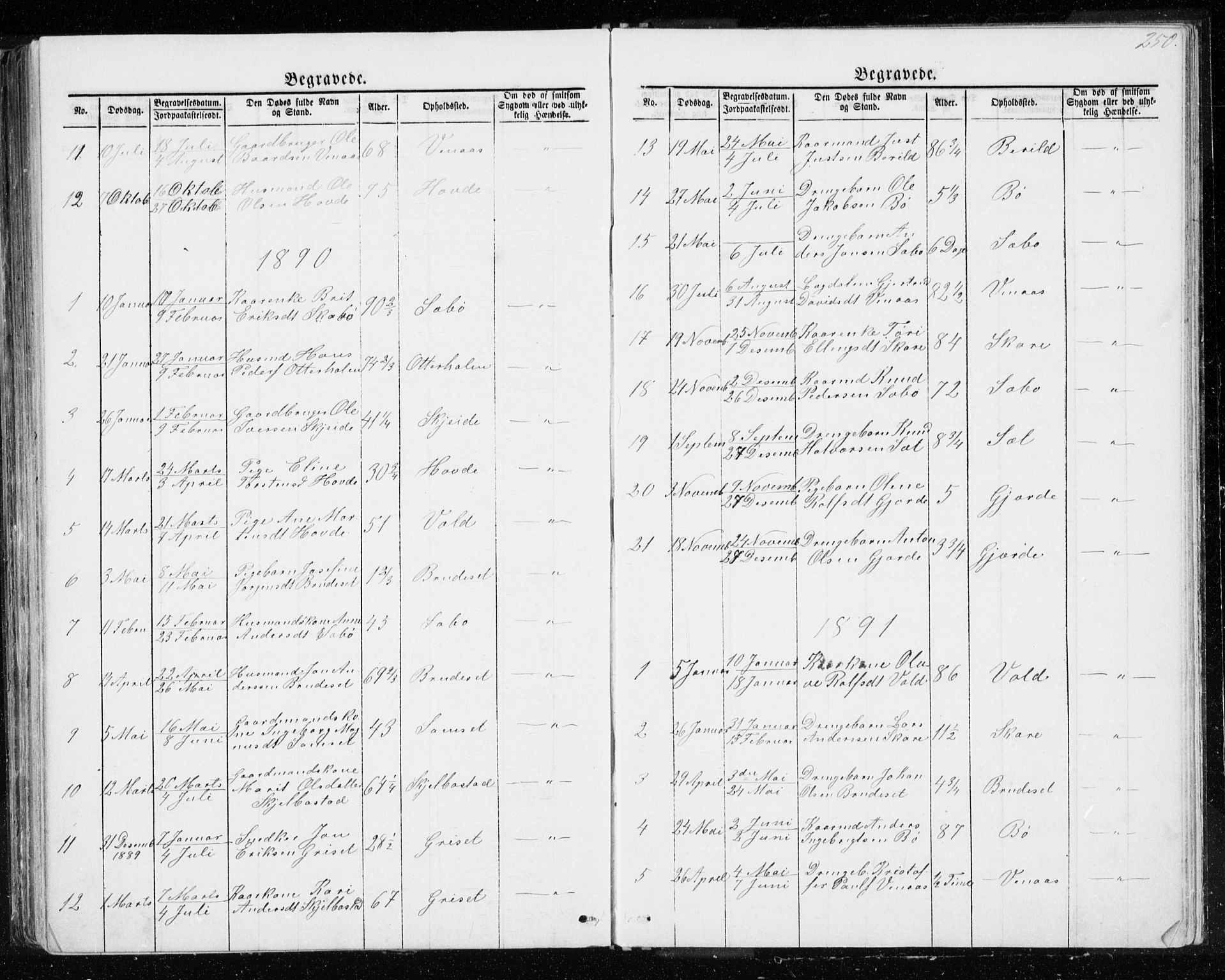 Ministerialprotokoller, klokkerbøker og fødselsregistre - Møre og Romsdal, SAT/A-1454/543/L0564: Parish register (copy) no. 543C02, 1867-1915, p. 250