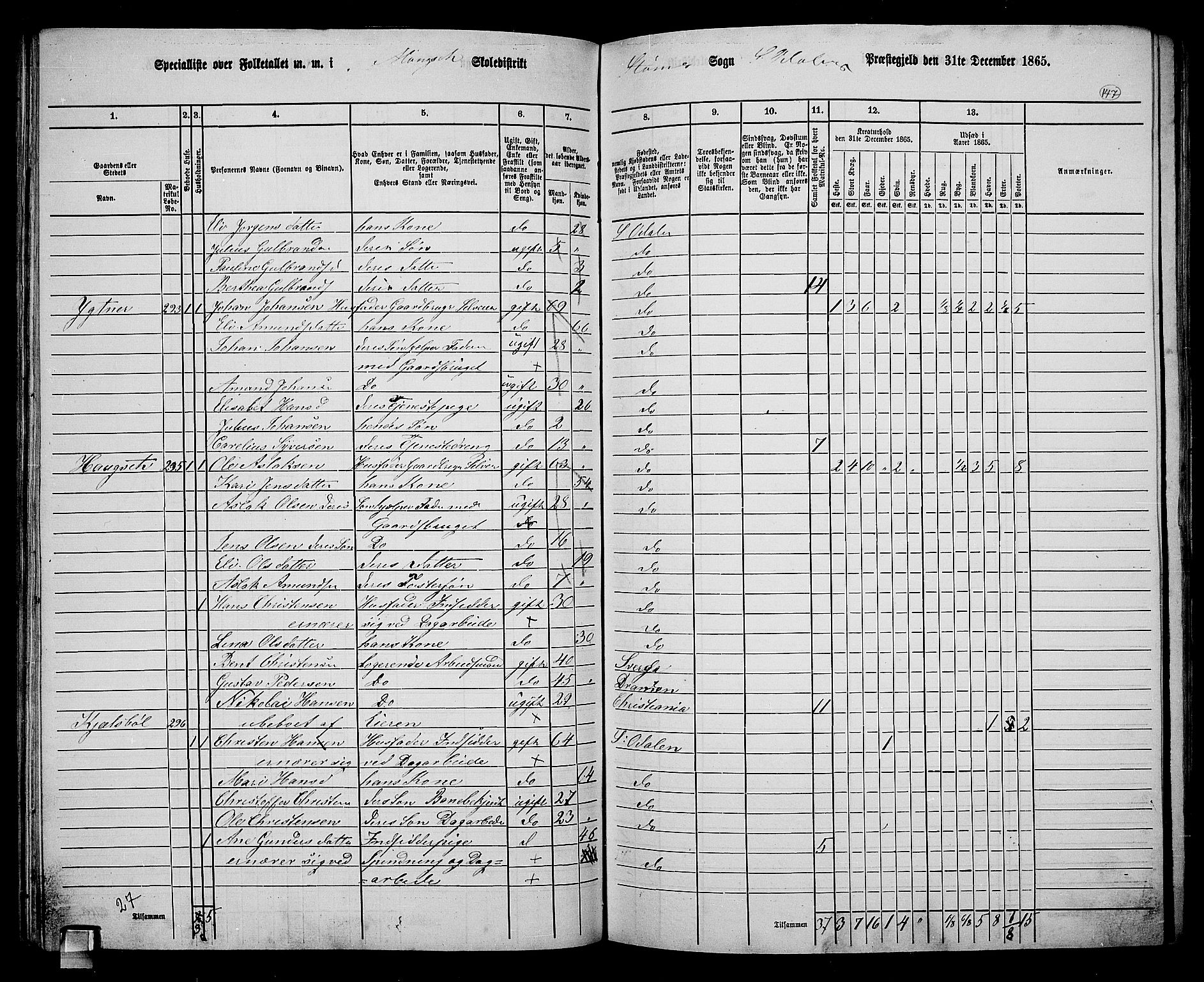 RA, 1865 census for Sør-Odal, 1865, p. 132