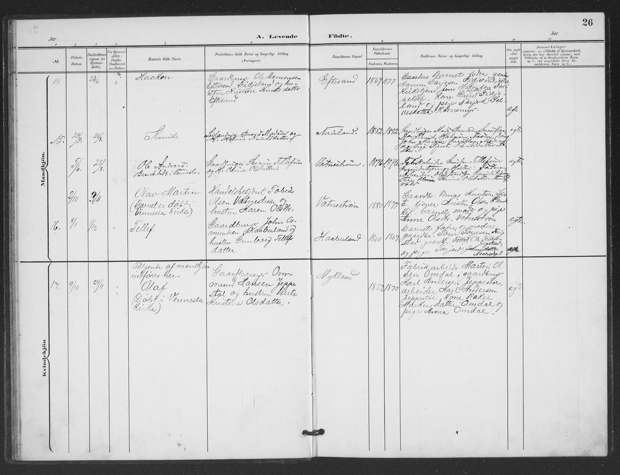 Evje sokneprestkontor, AV/SAK-1111-0008/F/Fb/Fbc/L0005: Parish register (copy) no. B 5, 1901-1935, p. 26