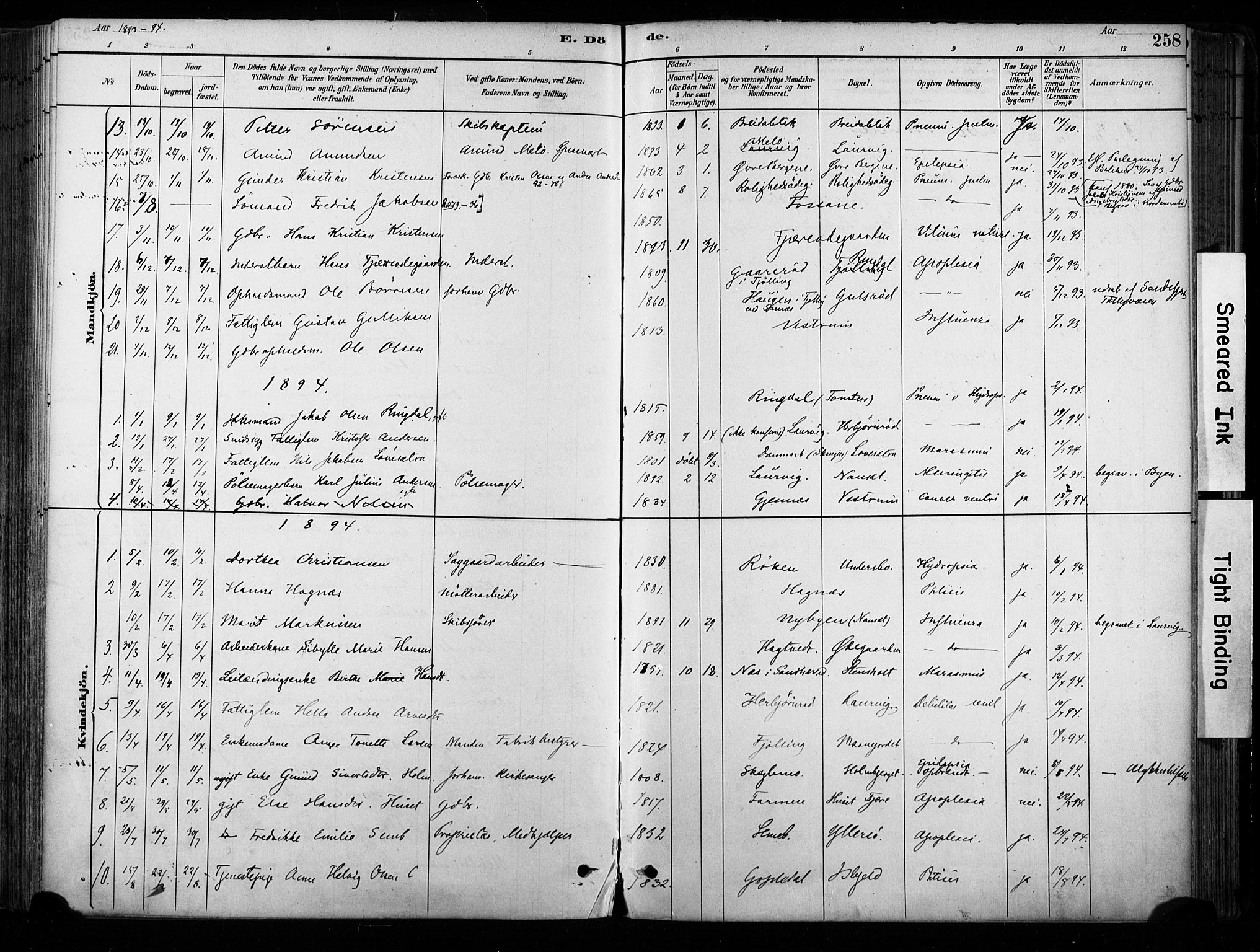 Hedrum kirkebøker, SAKO/A-344/F/Fa/L0009: Parish register (official) no. I 9, 1881-1903, p. 258